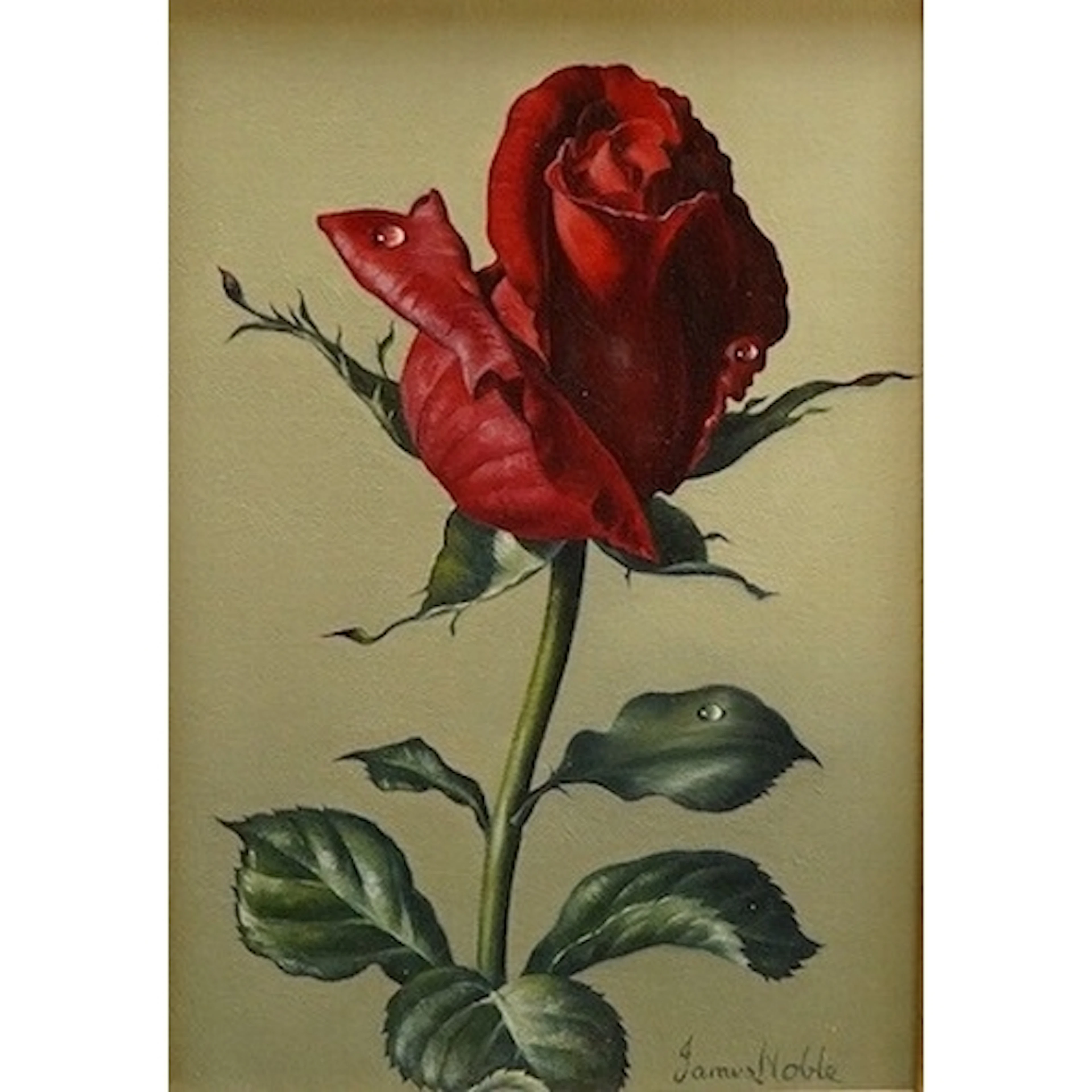 James Noble (1919-1989), 'Josephine Bruce', still life of a ...