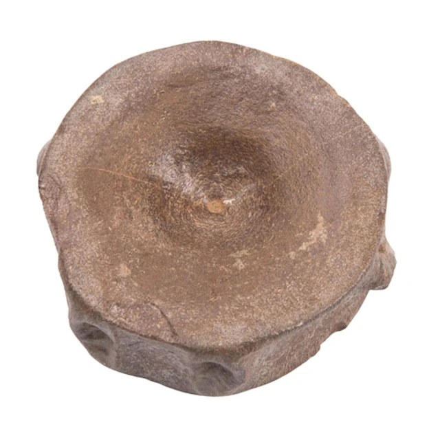 An Ichthyosaur fossilized vertebra, 9cm diameter.