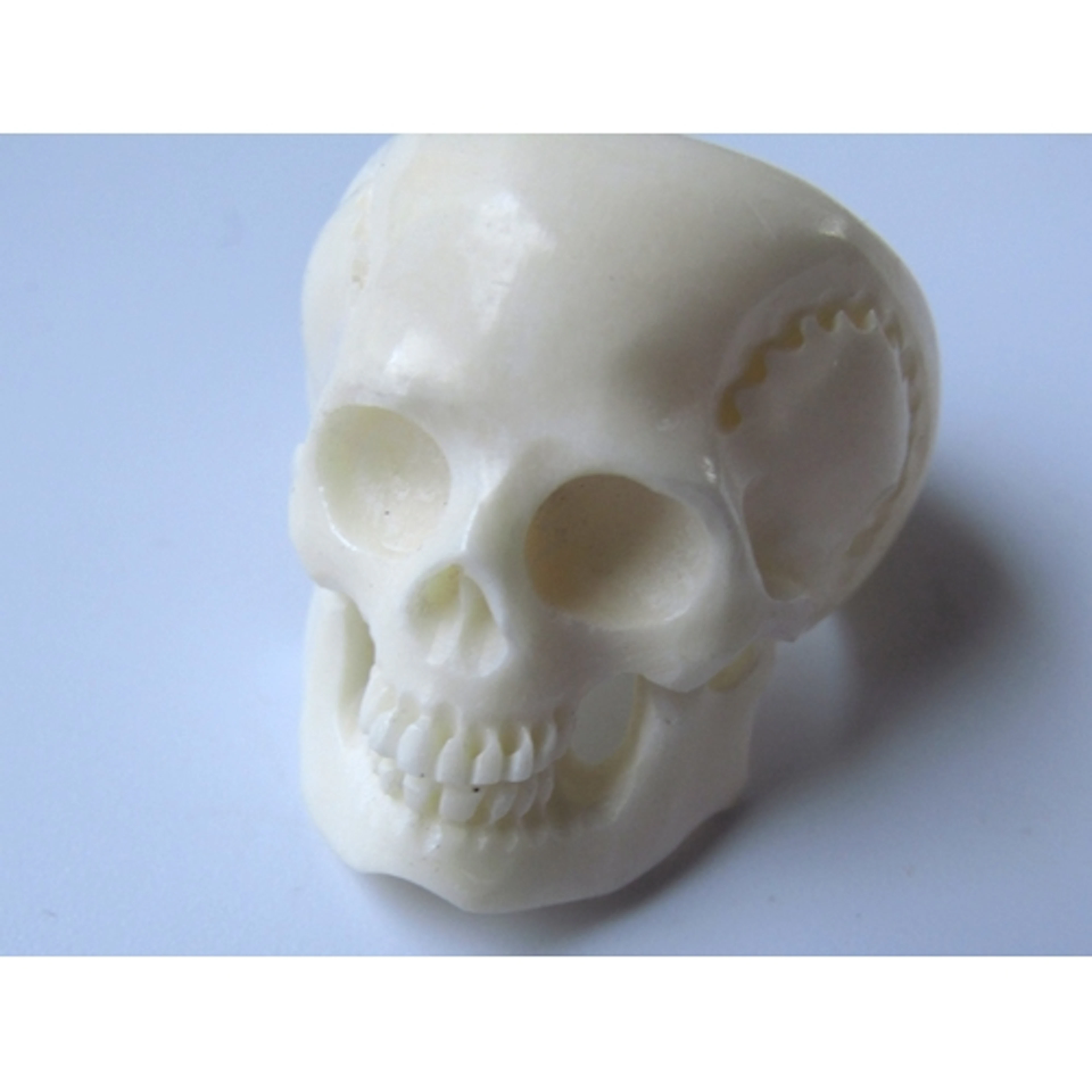 Momenti Mori Carved Bone Skull Motif Ring