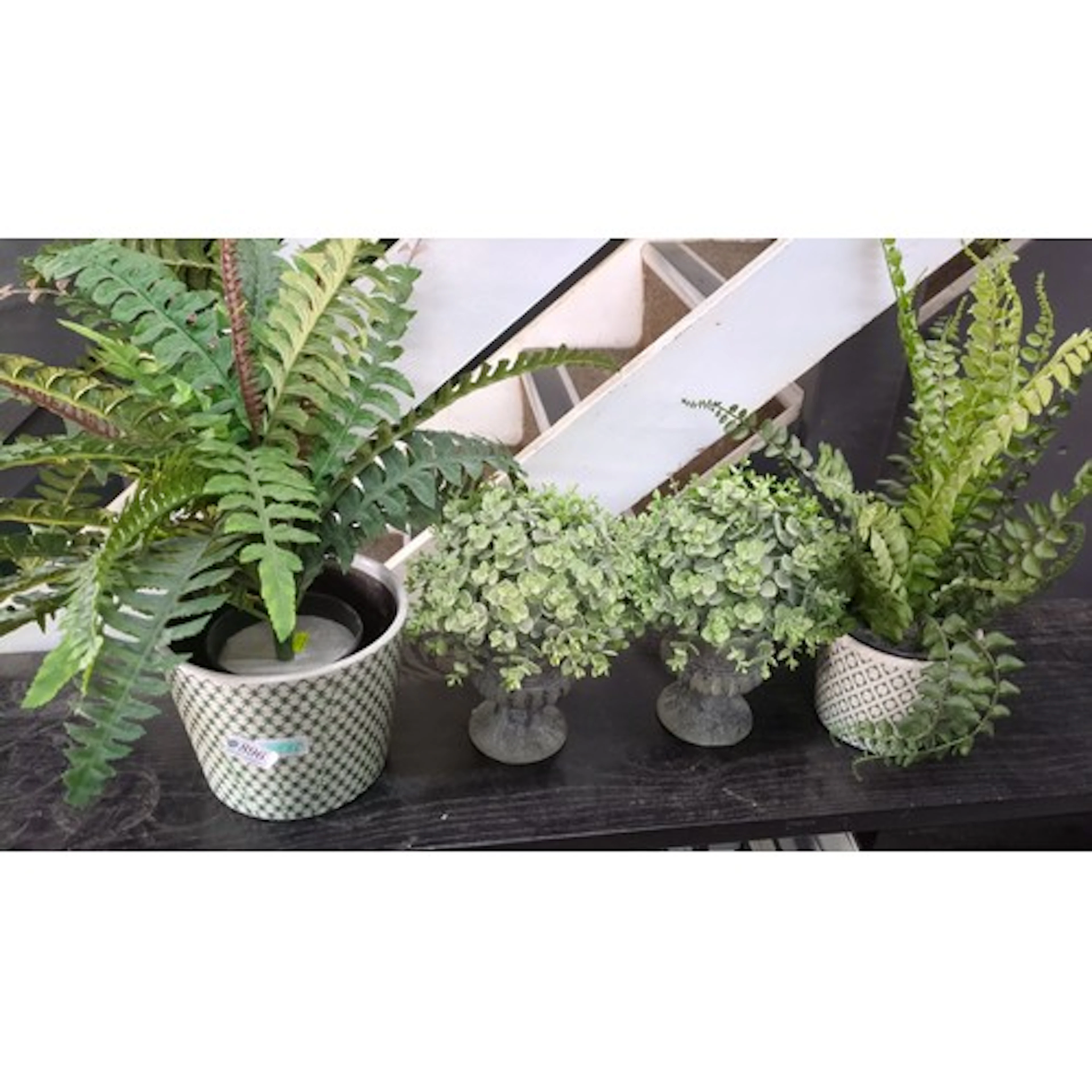 A group of artificial foliage arrangements, including fern a...