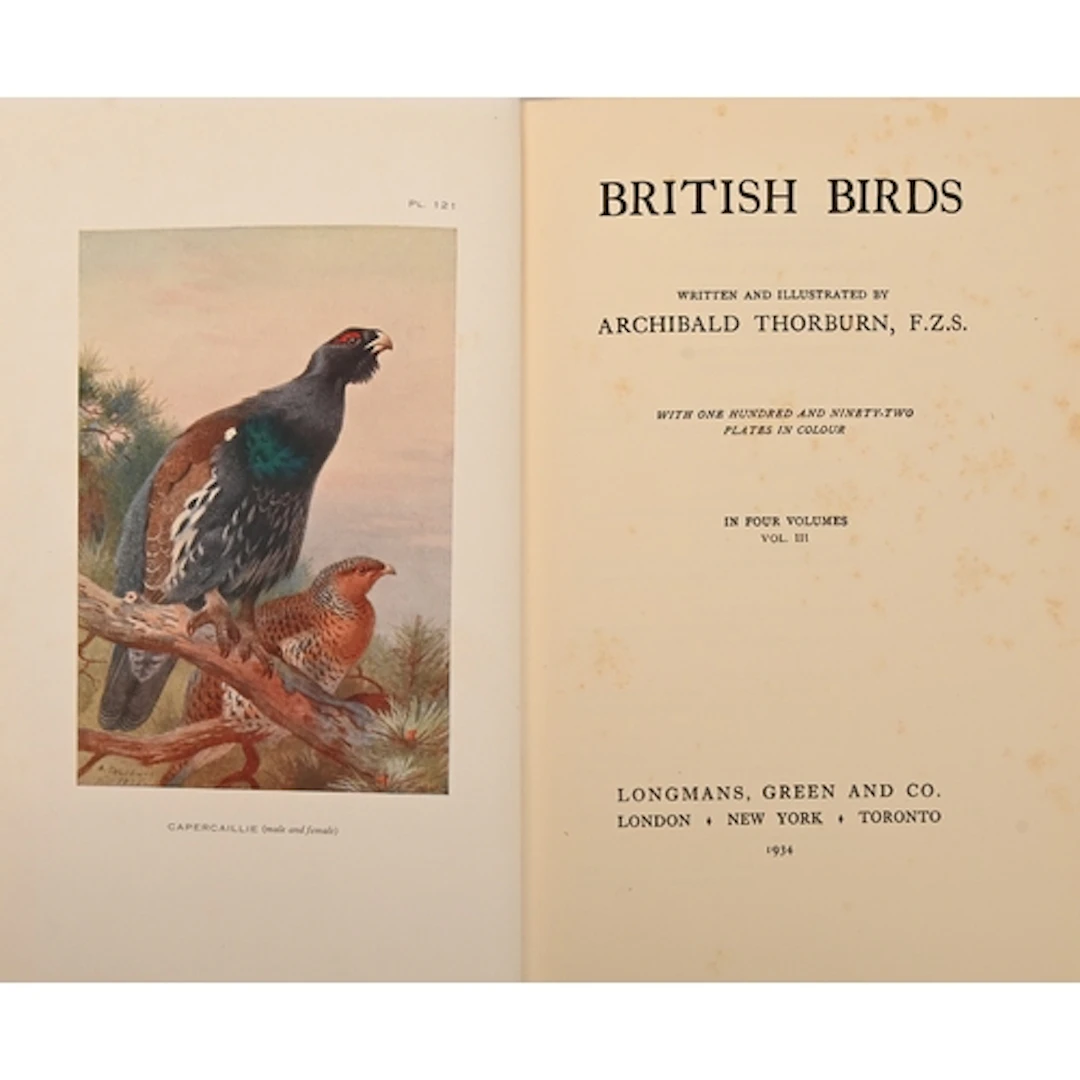 Ornithology. Thorburn (Archibald, FZS, illustrator), British...