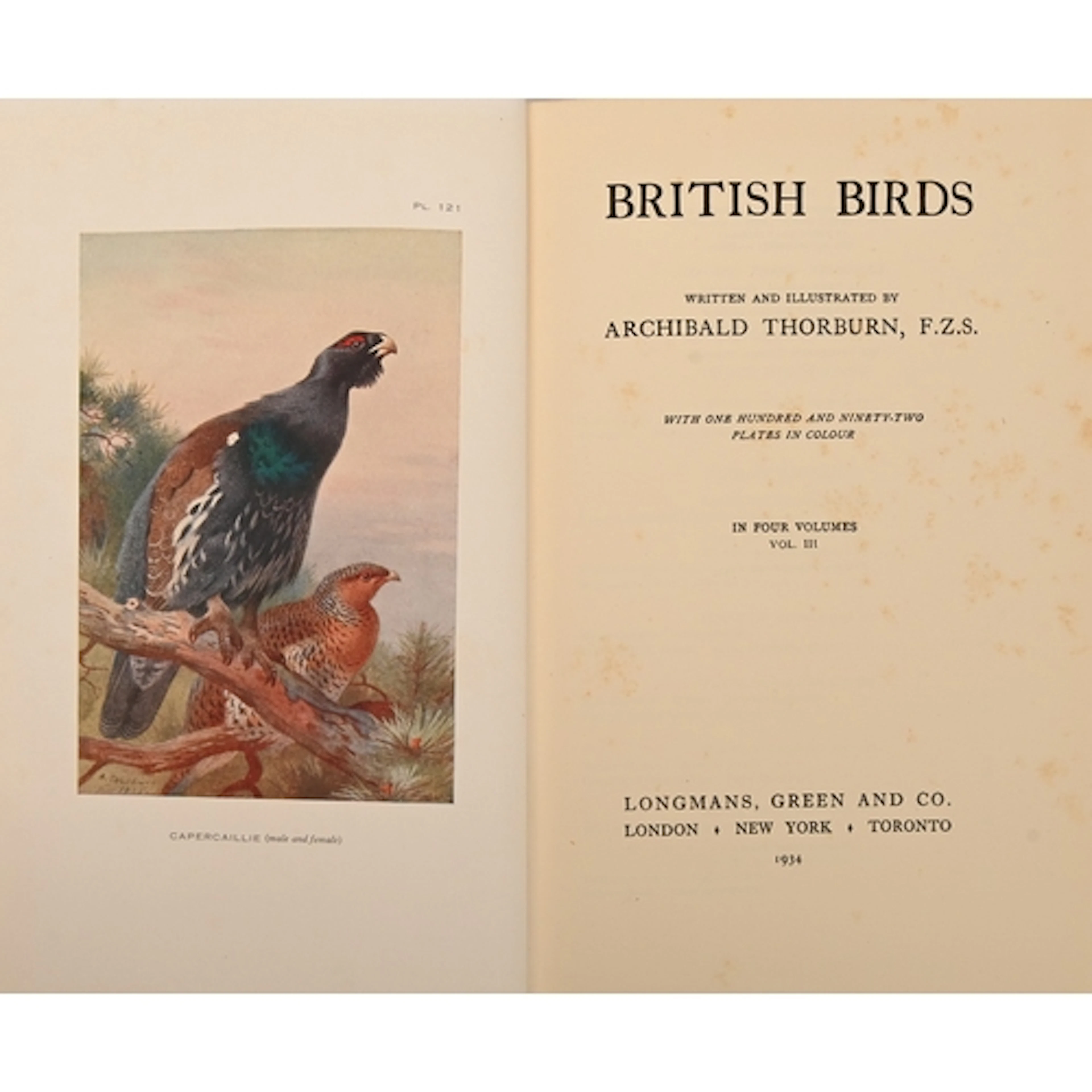 Ornithology. Thorburn (Archibald, FZS, illustrator), British...