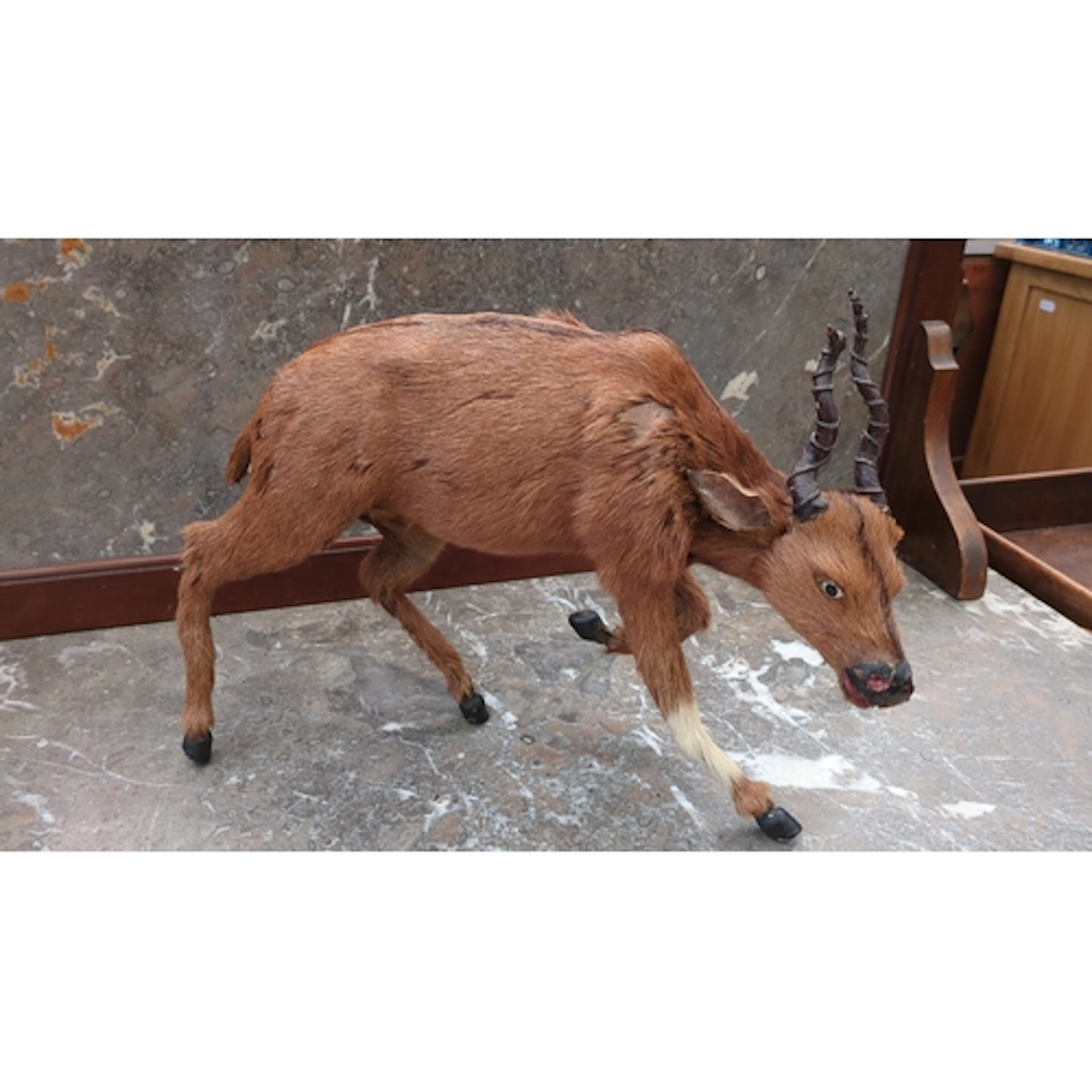 Taxidermy-mounted small deer, posed in a leaping stance, wit...