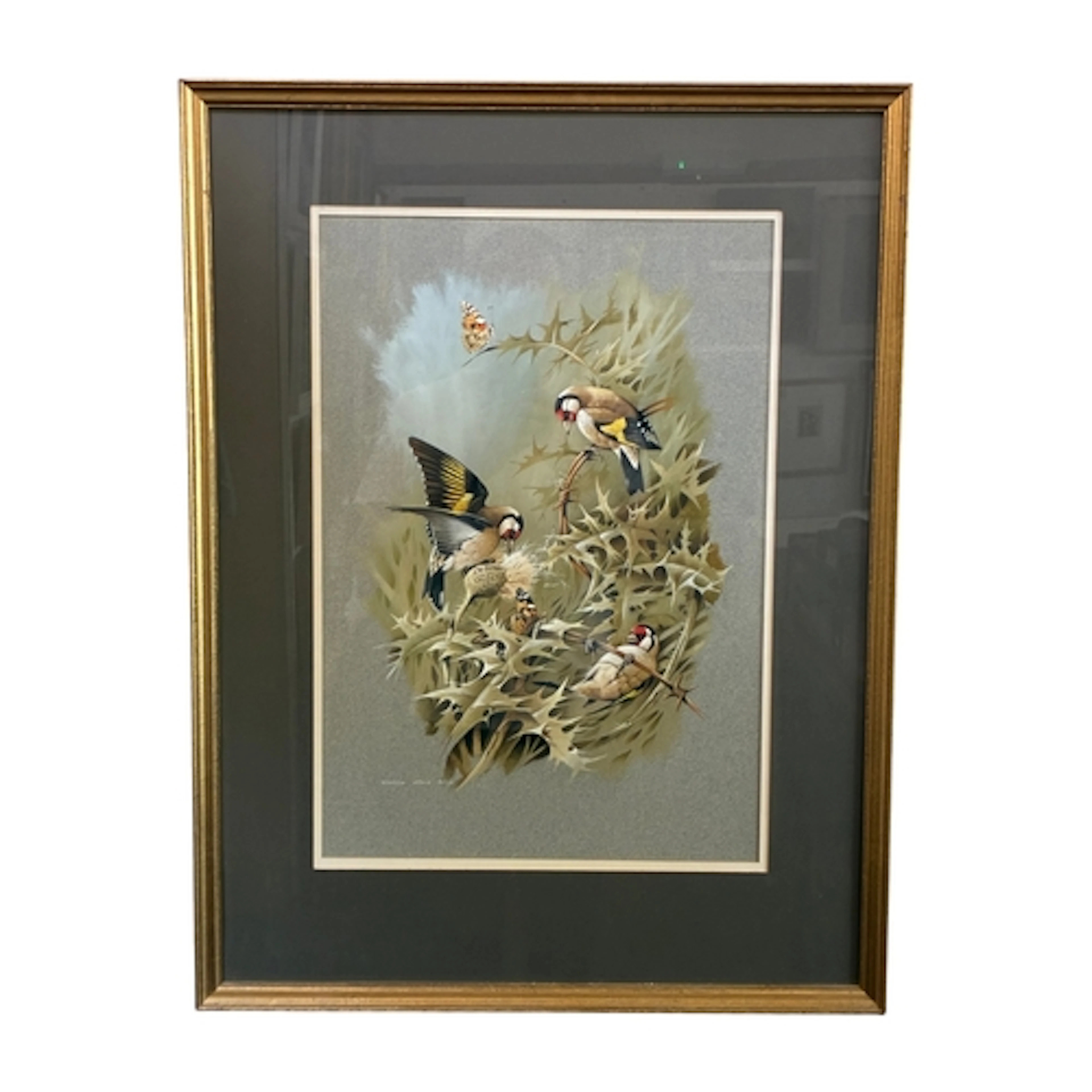 Terence James Bond (1946-2023) - Goldfinches and Butterflies...