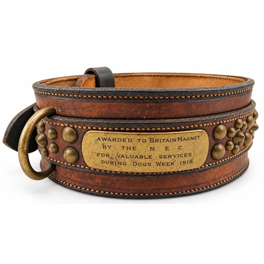 A substantial Second World War period studded leather dog’s ...