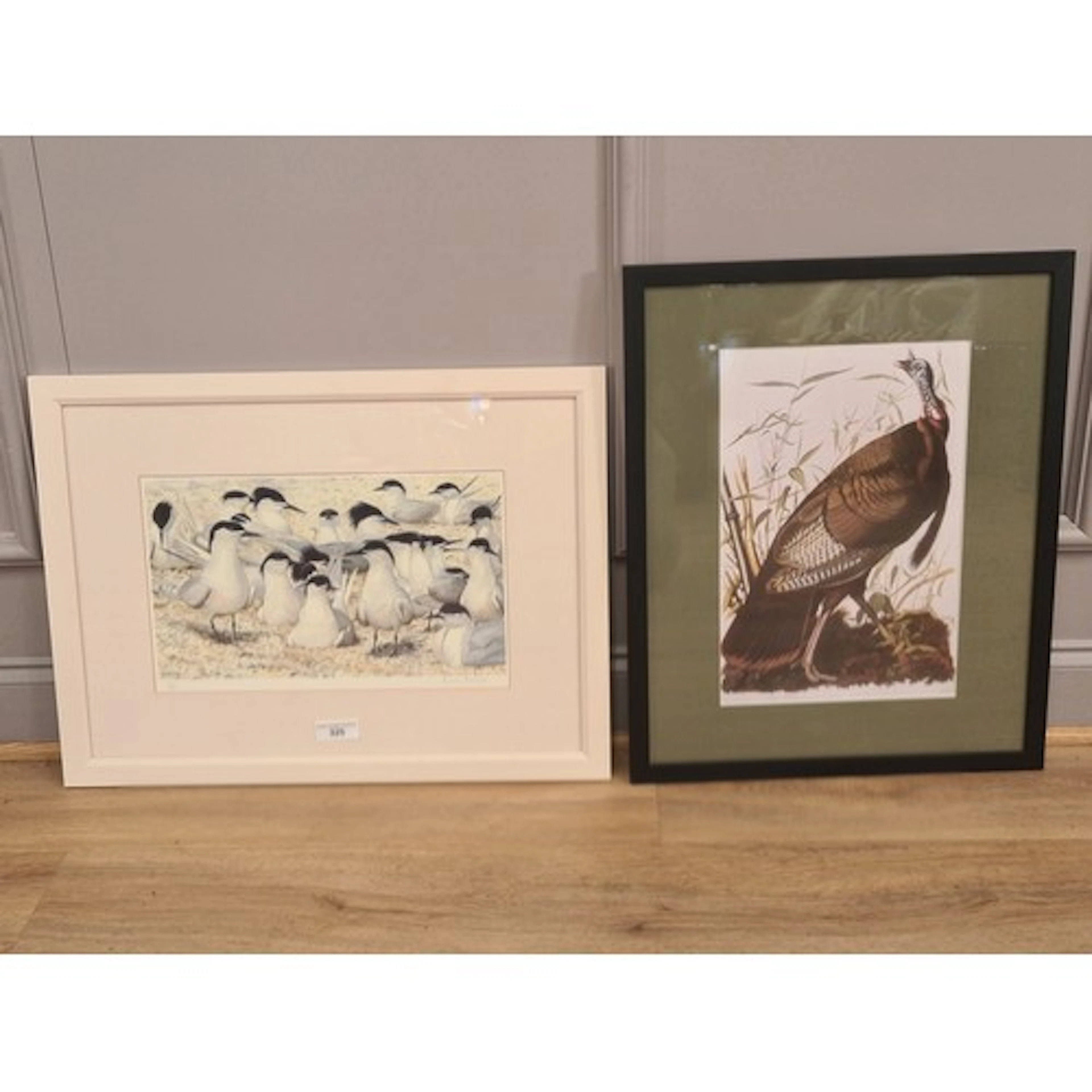AFTER BRIAN ARNOTT; 'Sandwich Terns' framed colour print 58/...