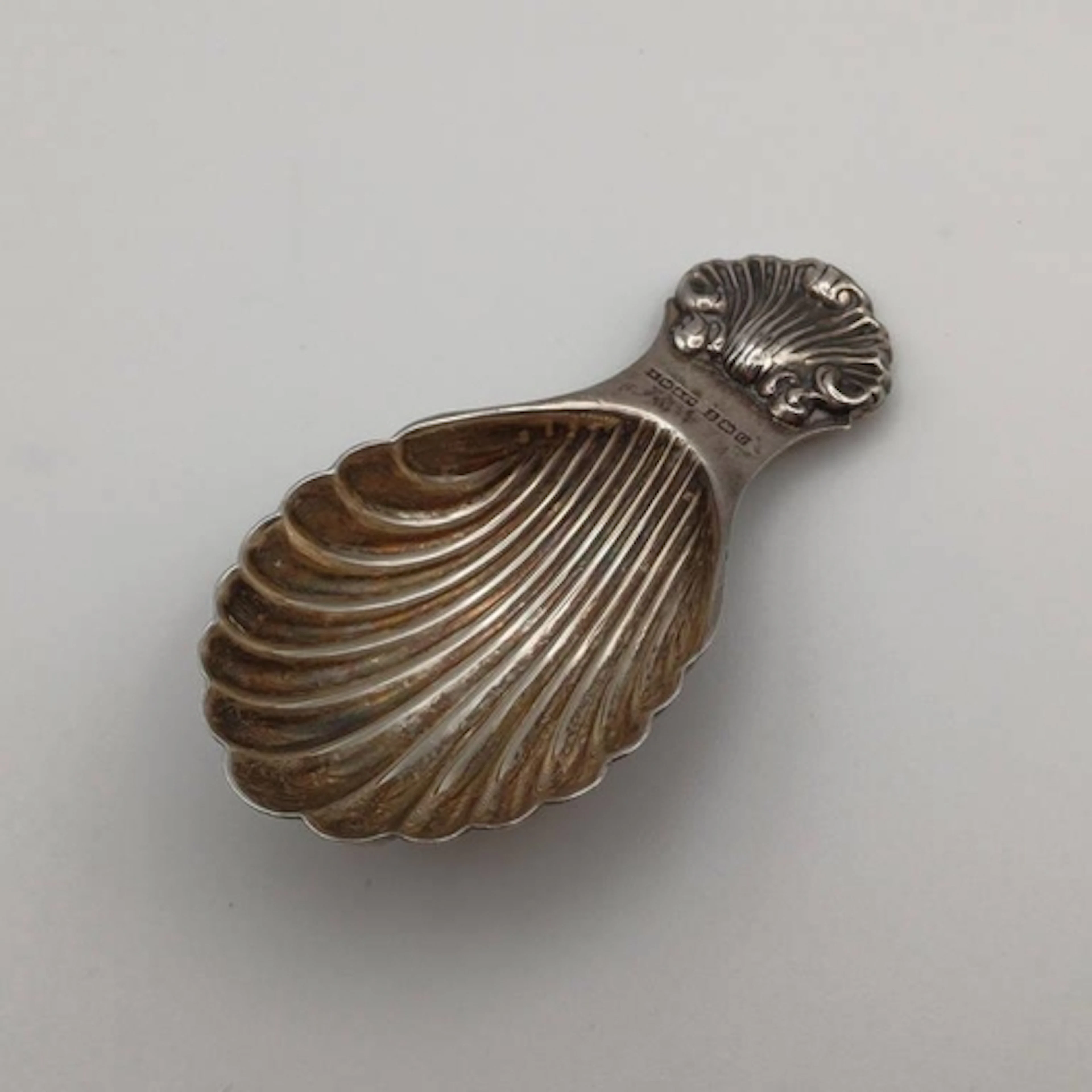 A SILVER CADDY SPOON WITH SCALLOP SHELL BOWL & SHELL THUMB P...