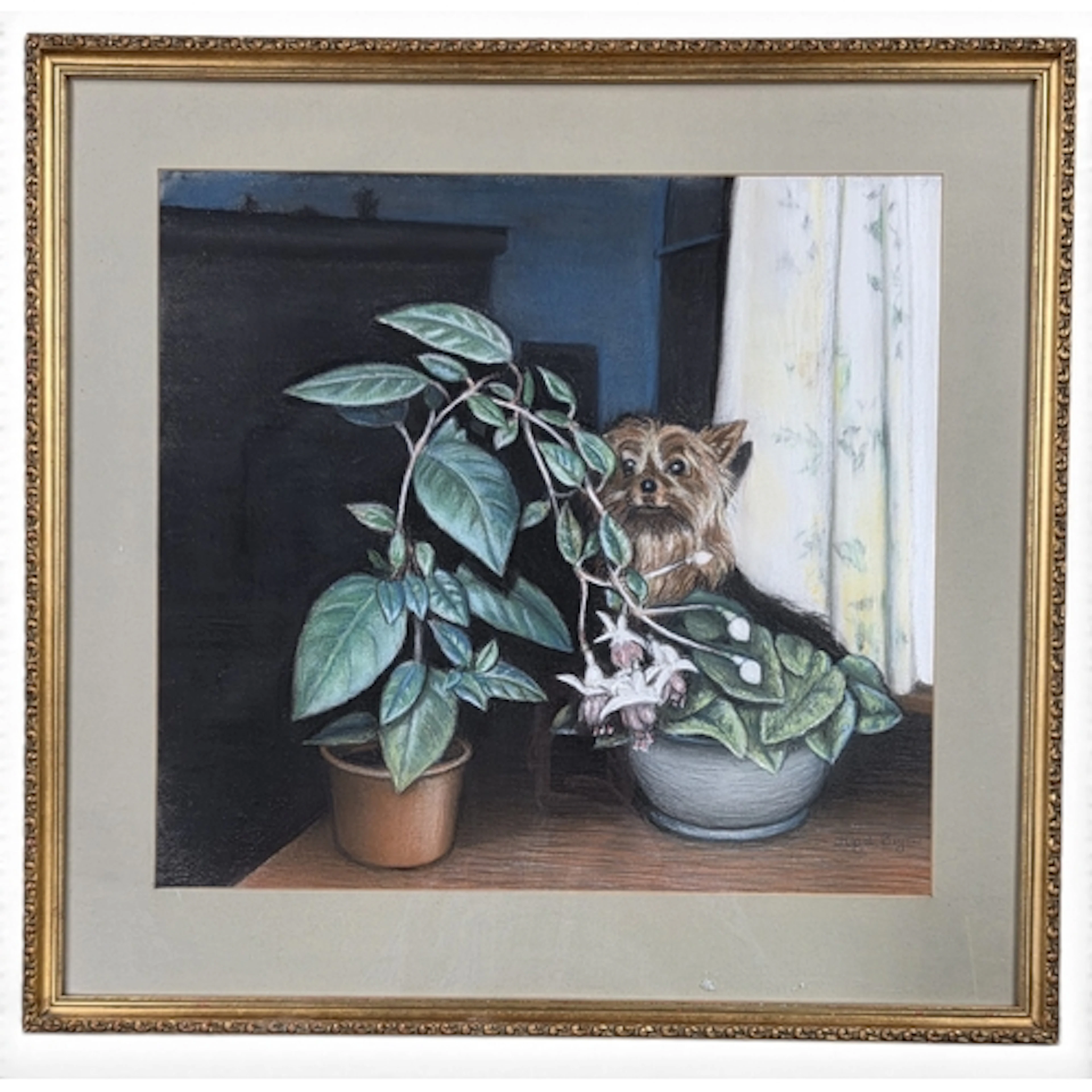 A Pastel of a Terrier by Hazel Bryan. 66 x 69 cm approx.