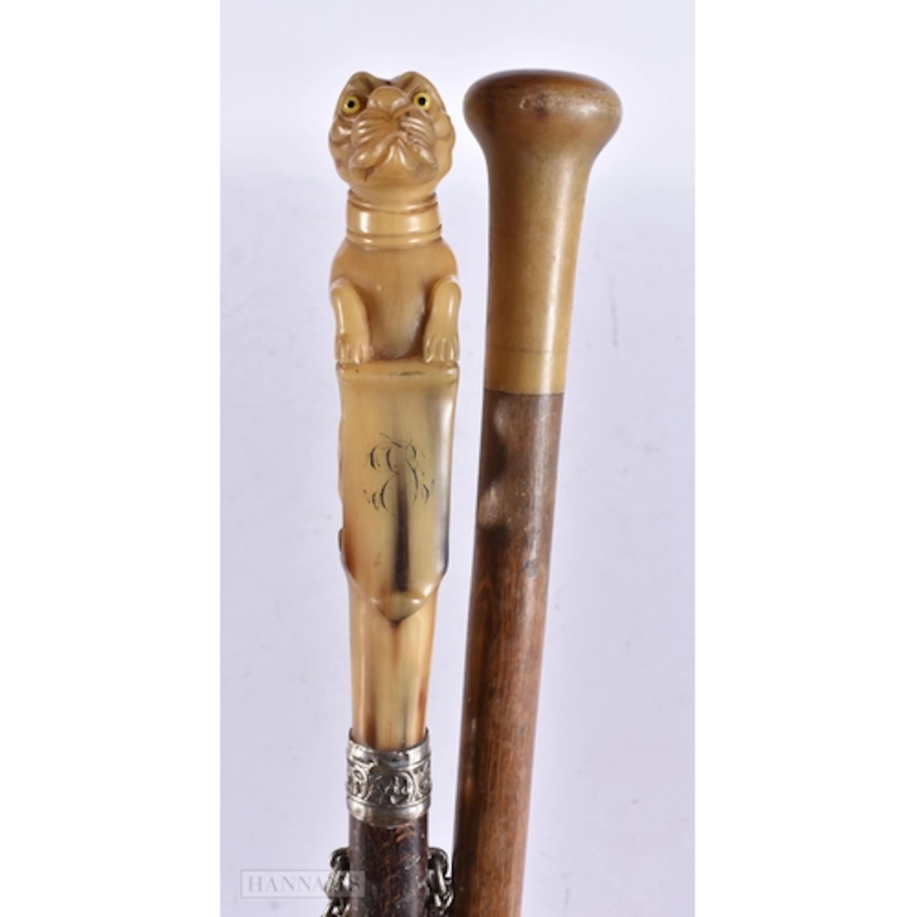 A RARE 19TH CENTURY CARVED HORN 'GUARD DOG' WALKING CANE wit...