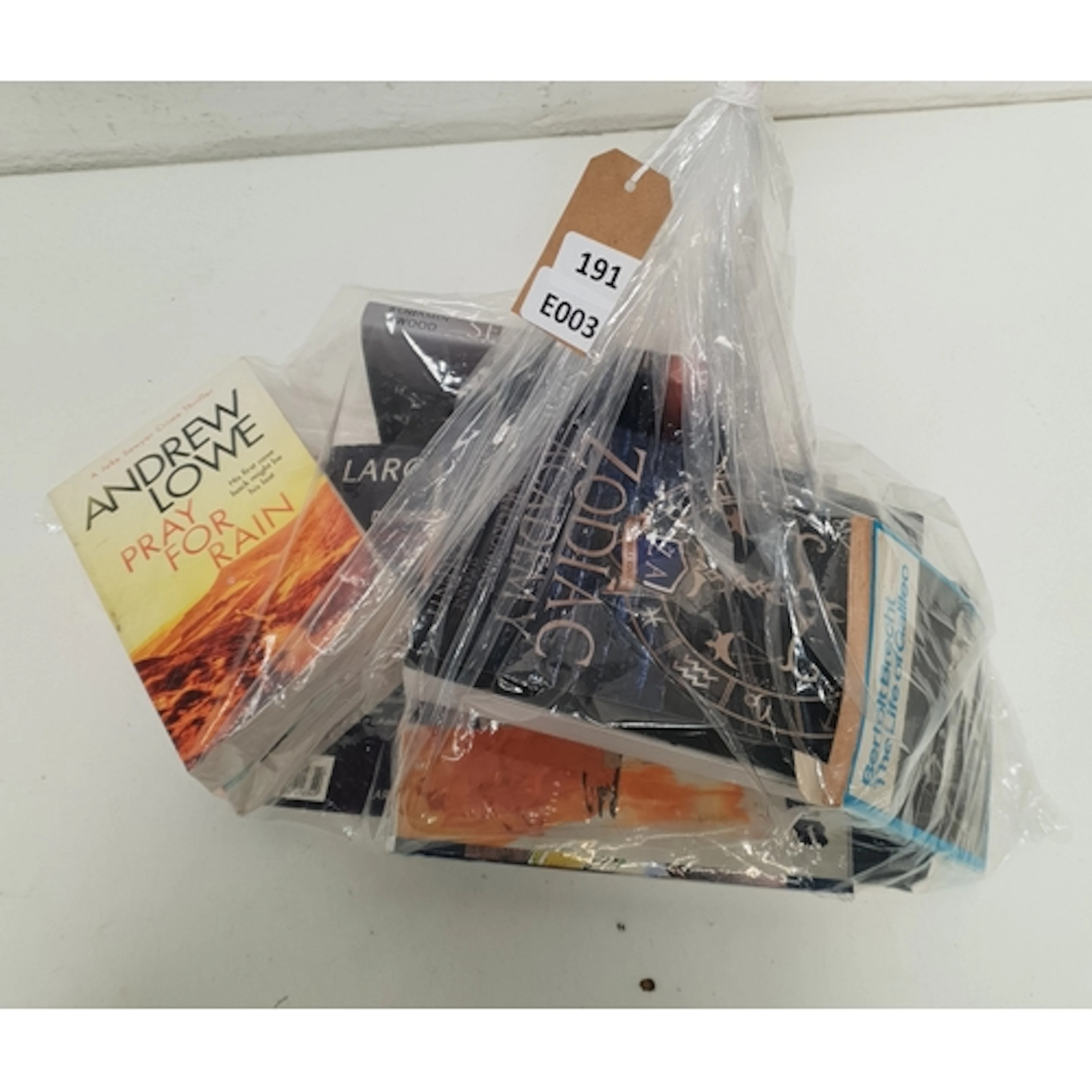 ONE BAG OF BOOKS