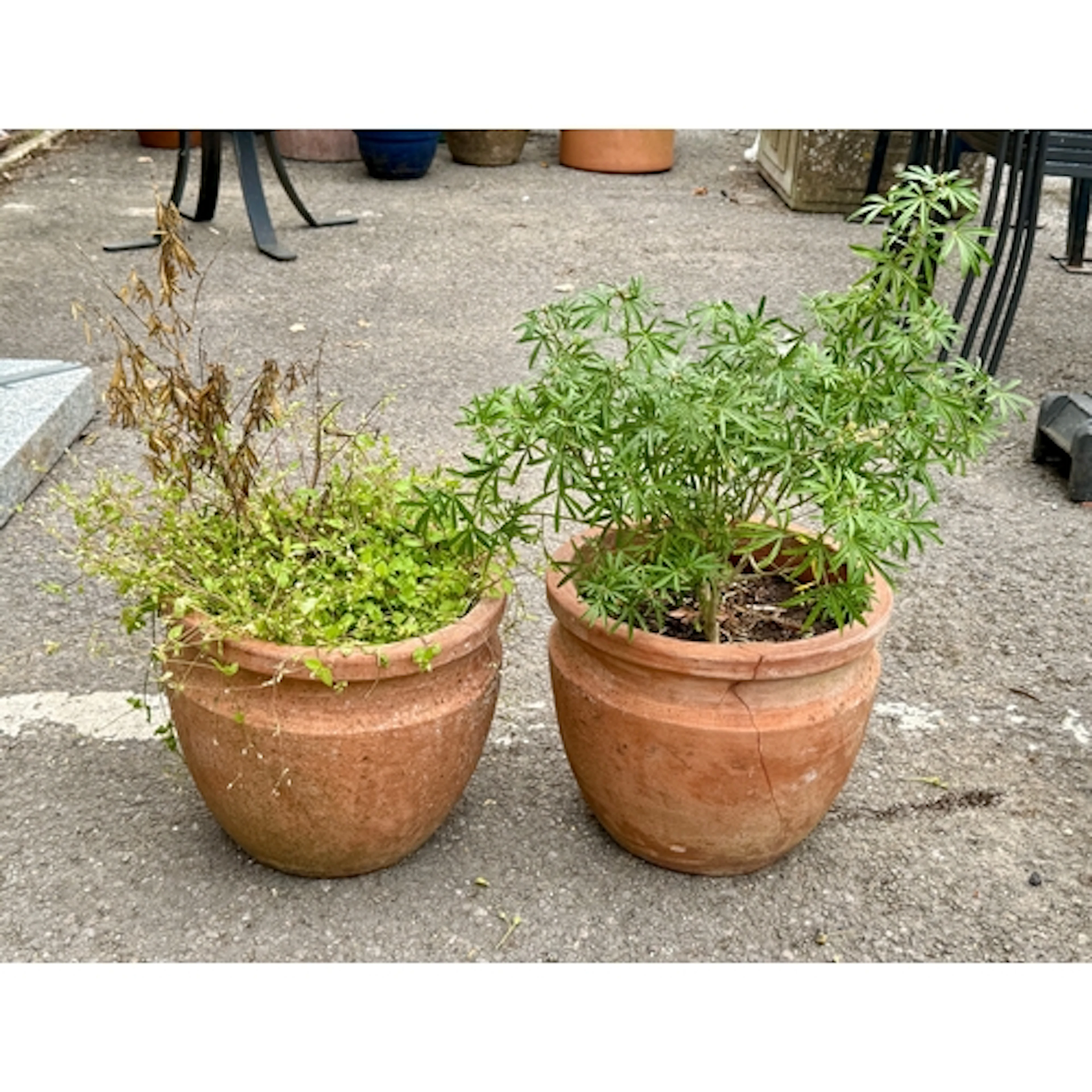 A pair of terracotta planters - ovoid form, 31cm diameter, 2...