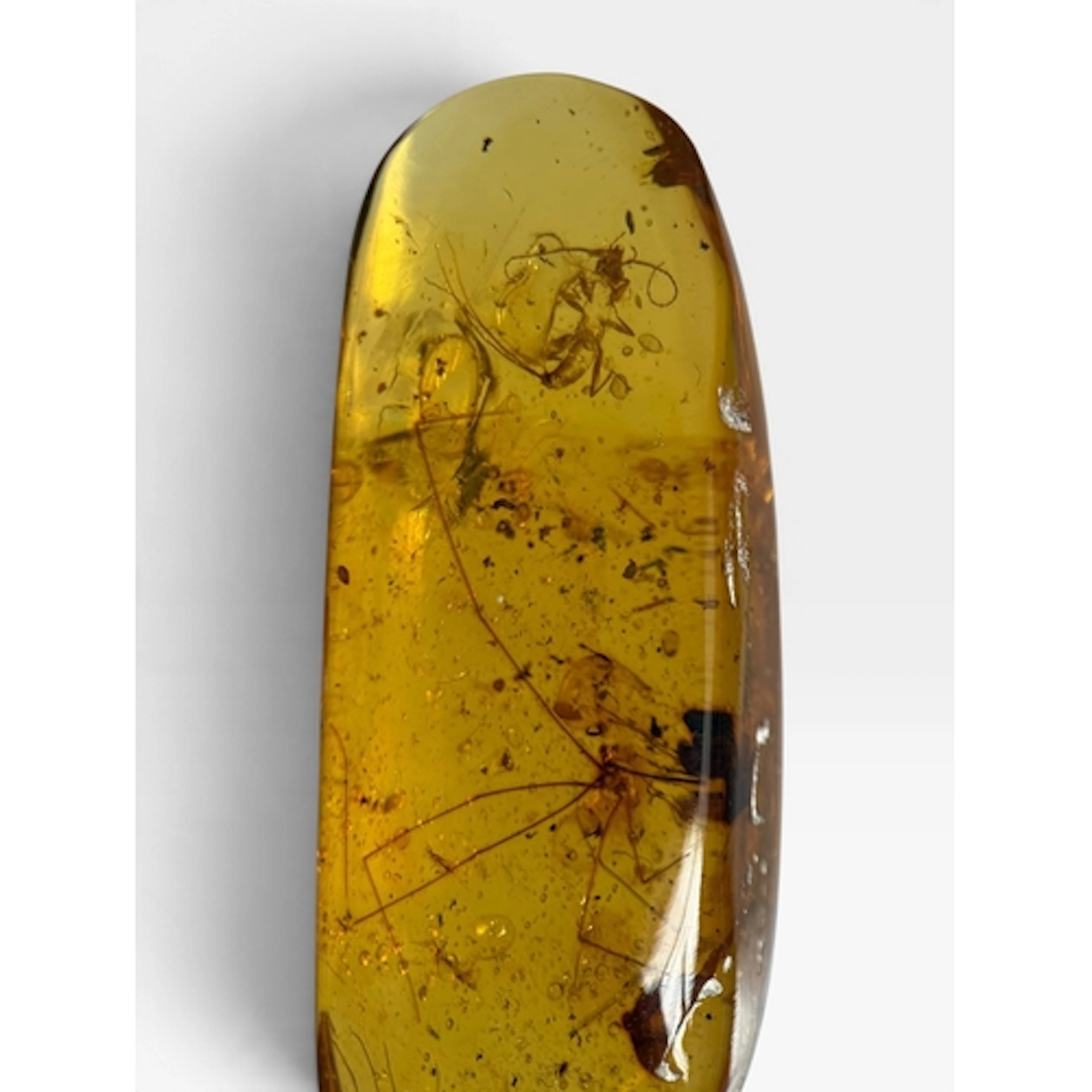 A HARVESTMAN AND FLYING INSECT FOSSIL IN AMBER A highly deta...
