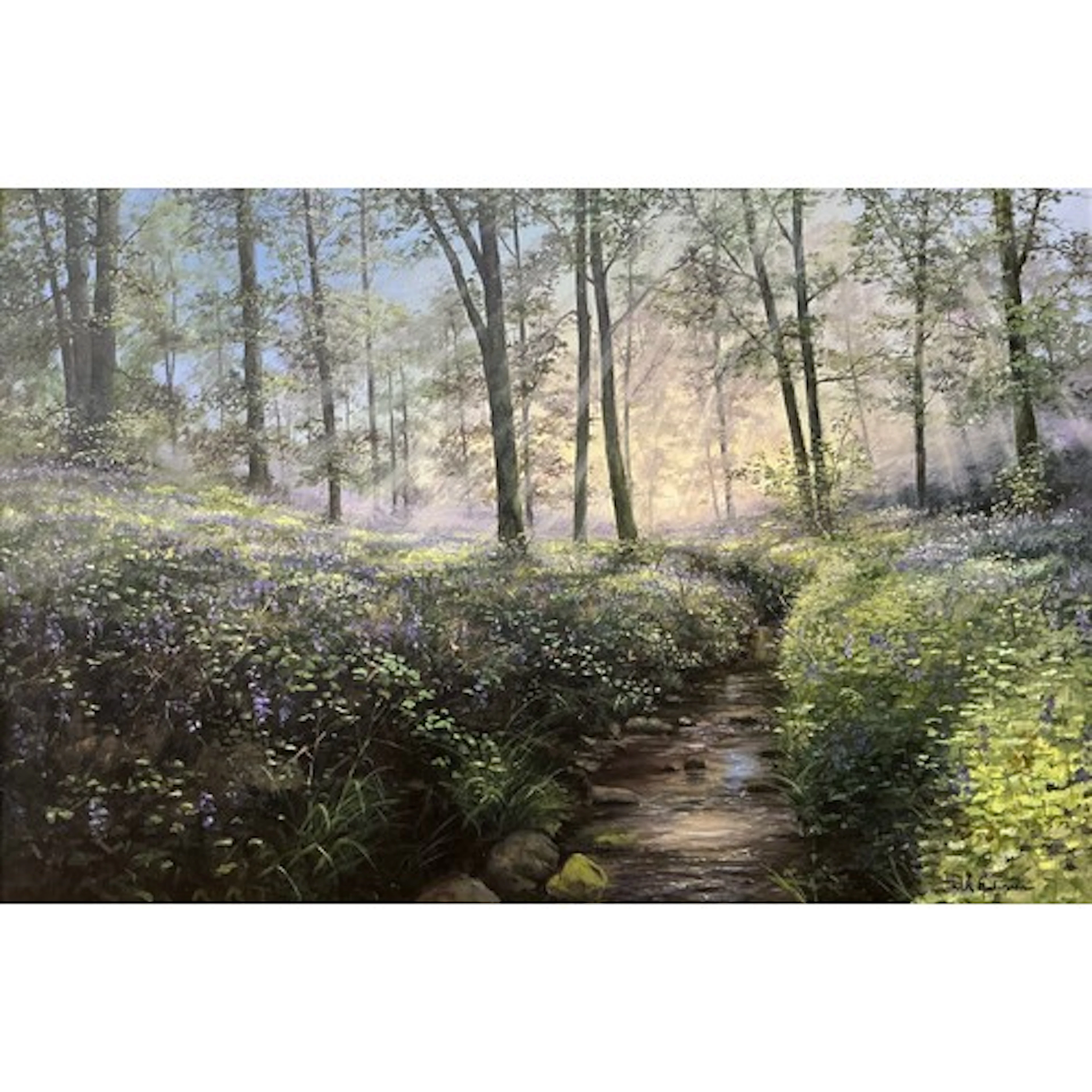 William (Bill) Makinson (British, contemporary) The Bluebel...