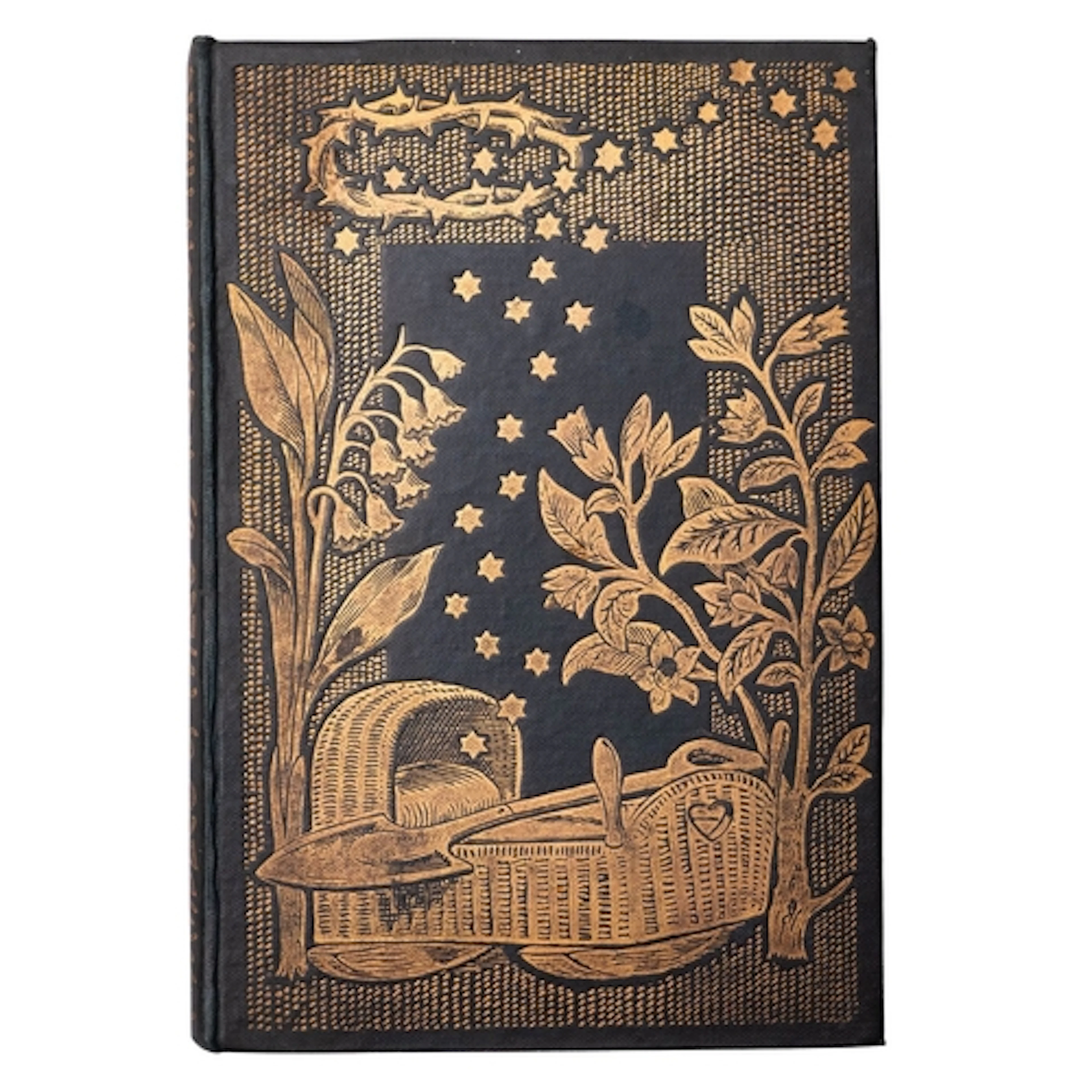 HAKE, Thomas Gordon. Parables and Tales, with illustrations ...