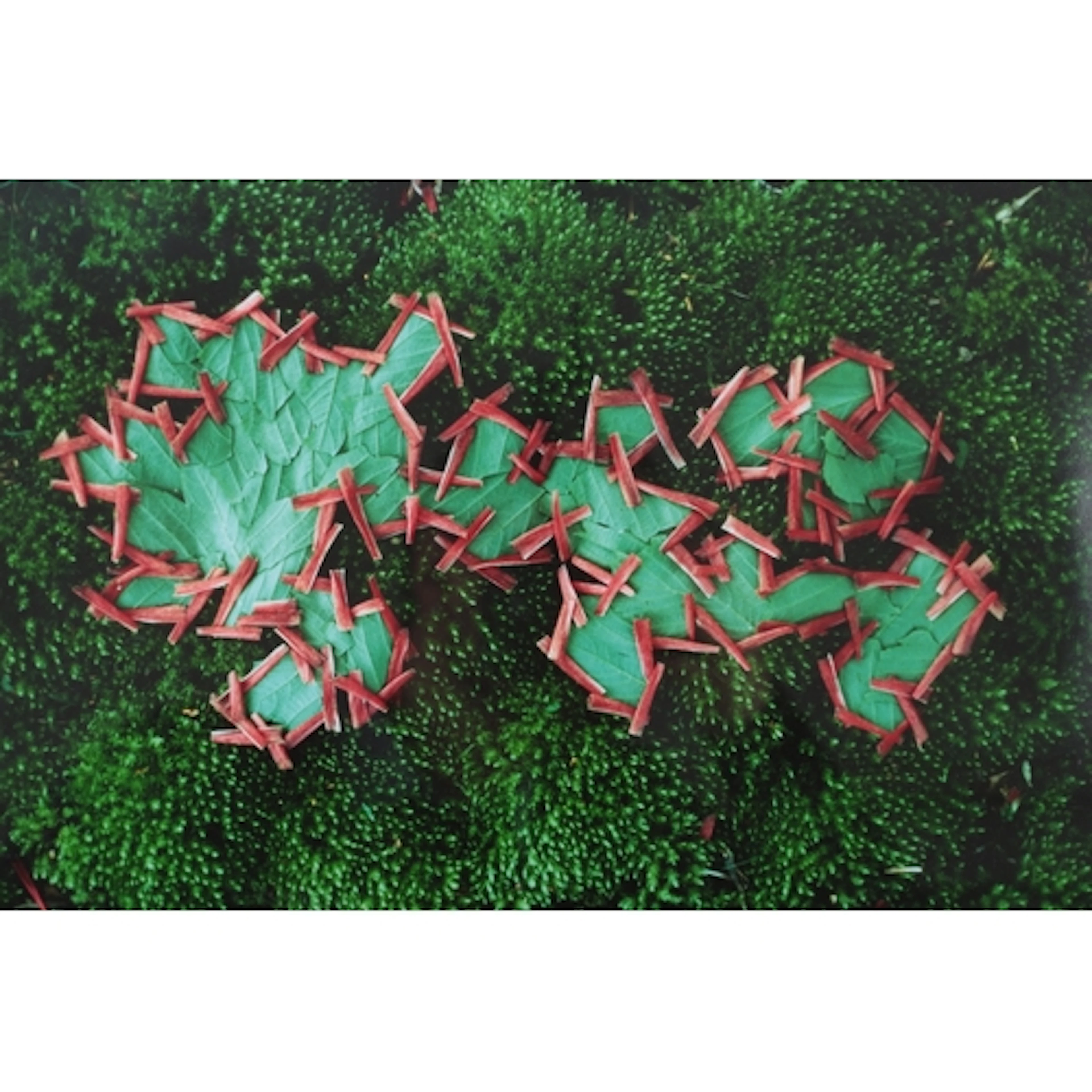 § Andy Goldsworthy (b. 1956) Composition with leaves and m...