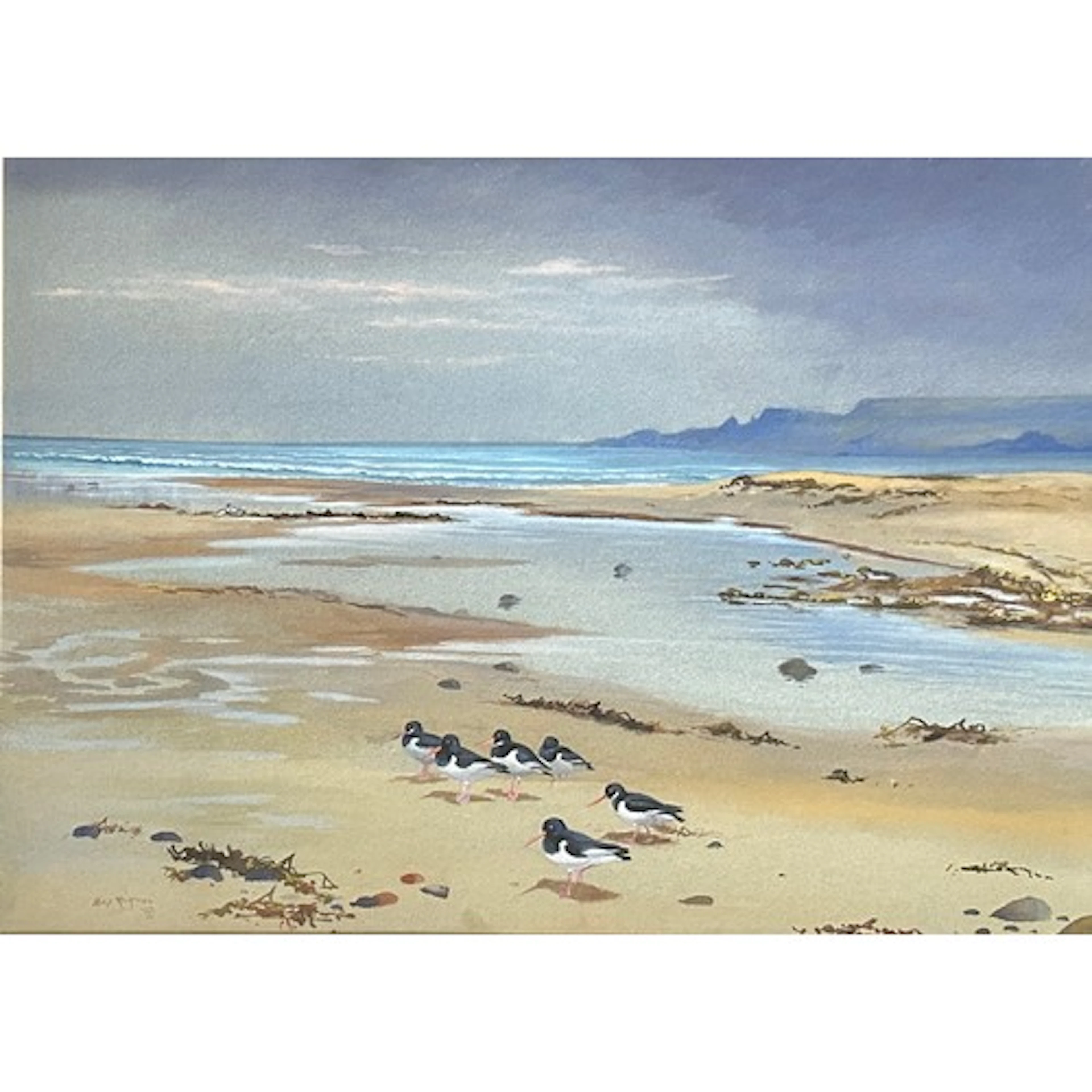 Philip Rickman (1891-1982) Watercolour/gouache. 'Scaup' a l...