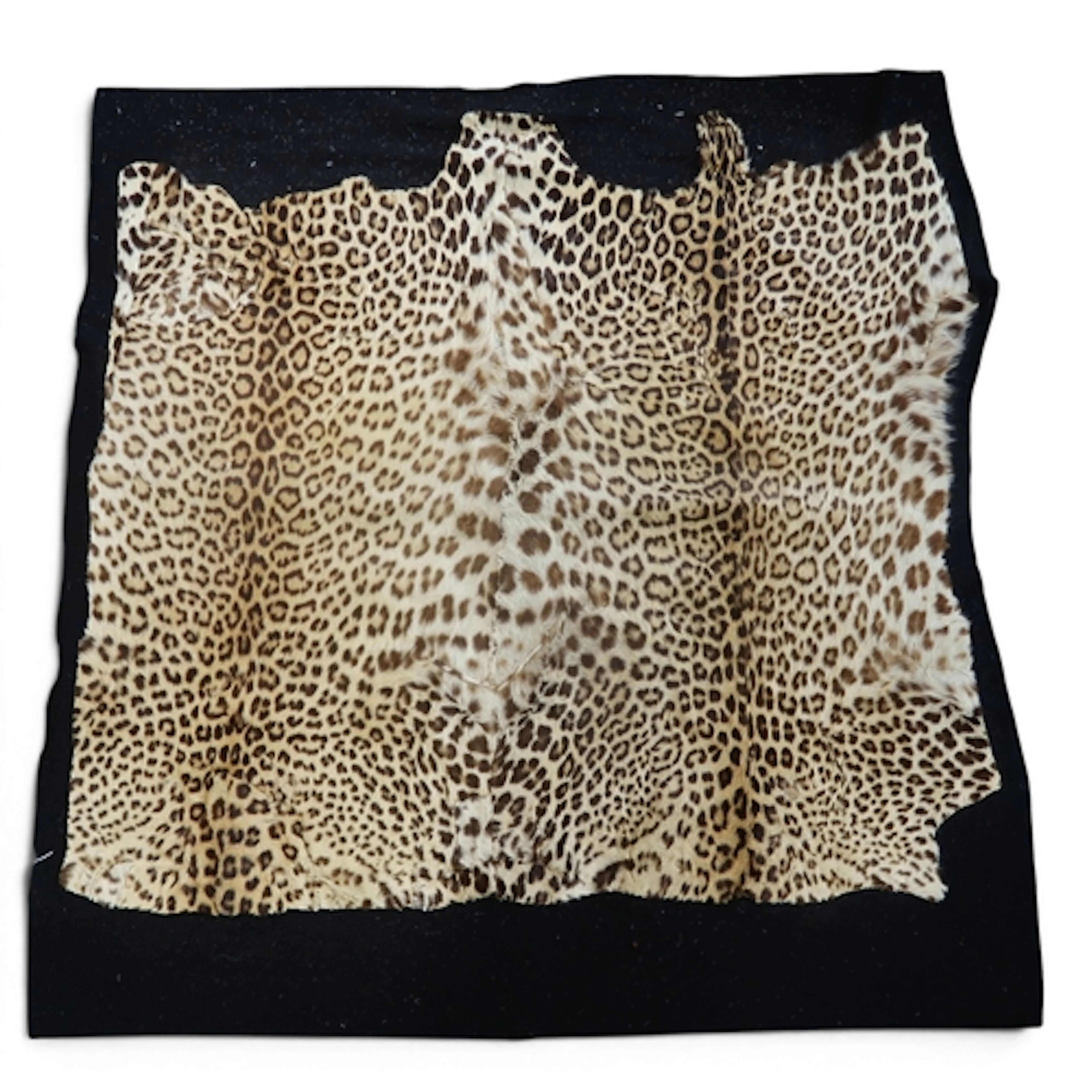 A leopard carriage rug with felt backing approx. 145cm x 1...