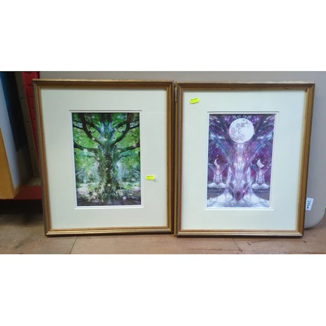 A pair of framed colour prints depicting mirrored trees with...