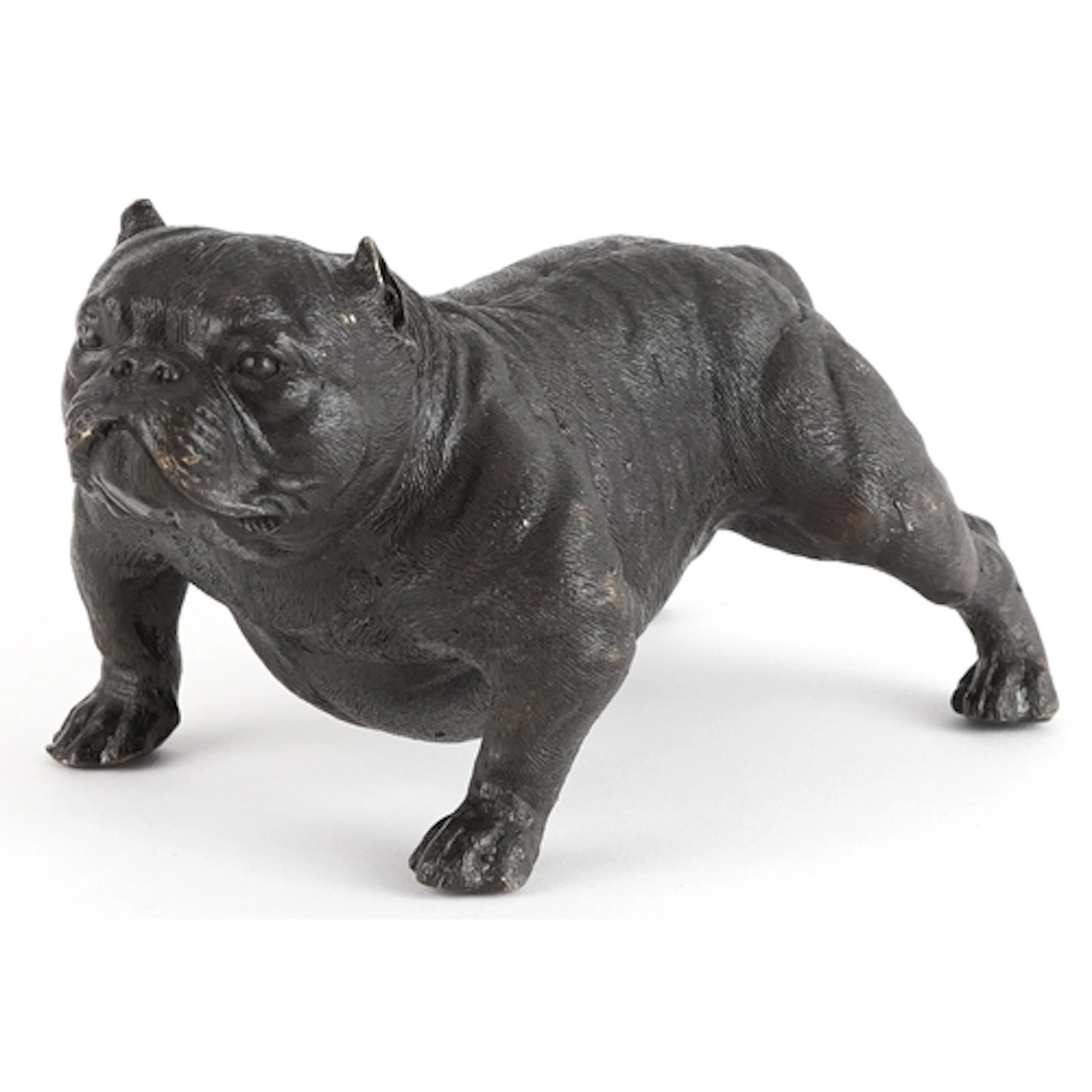 Patinated bronze study of a British Bulldog, 21cm in length.