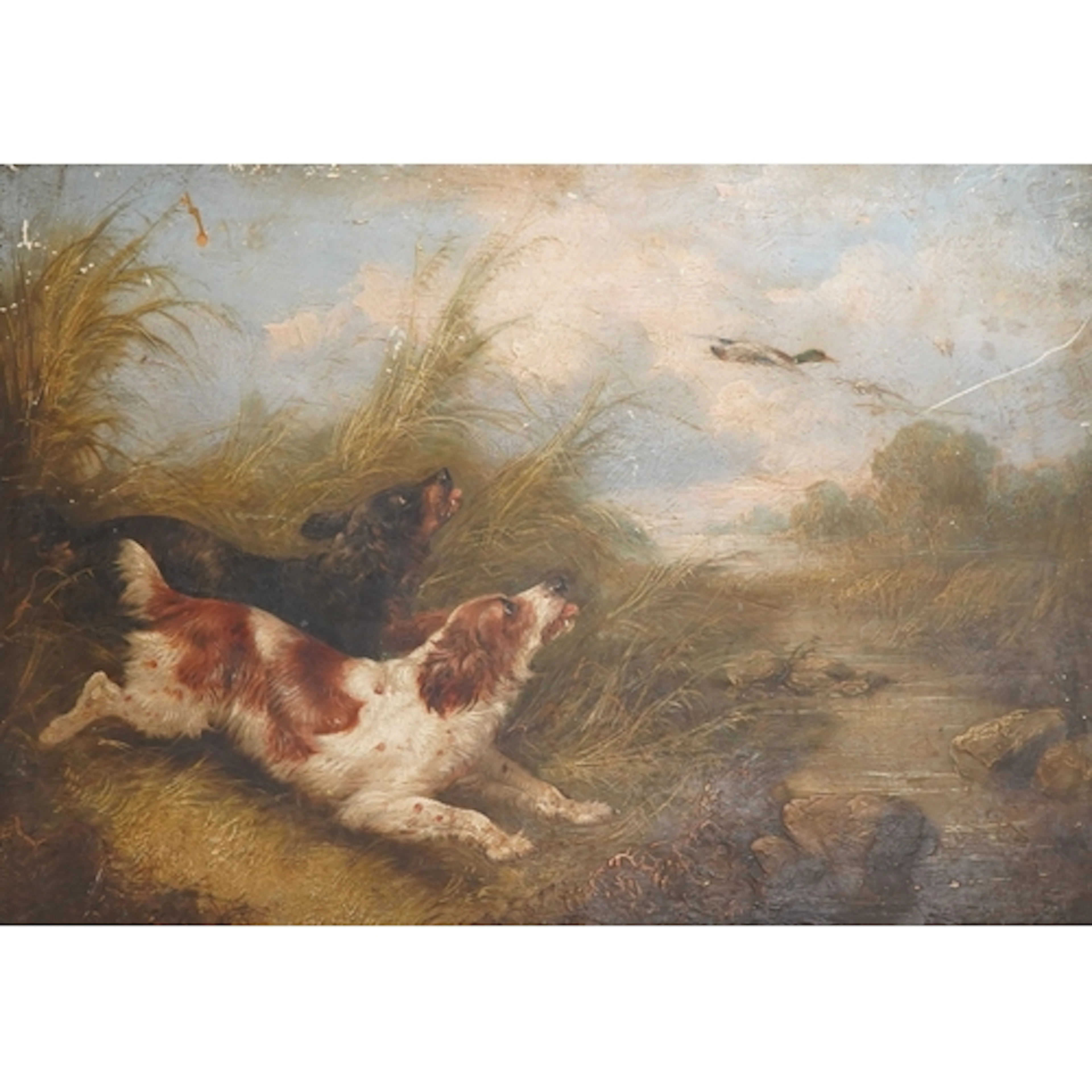 After George Armfield (1808-1893), spaniels hunting game, un...