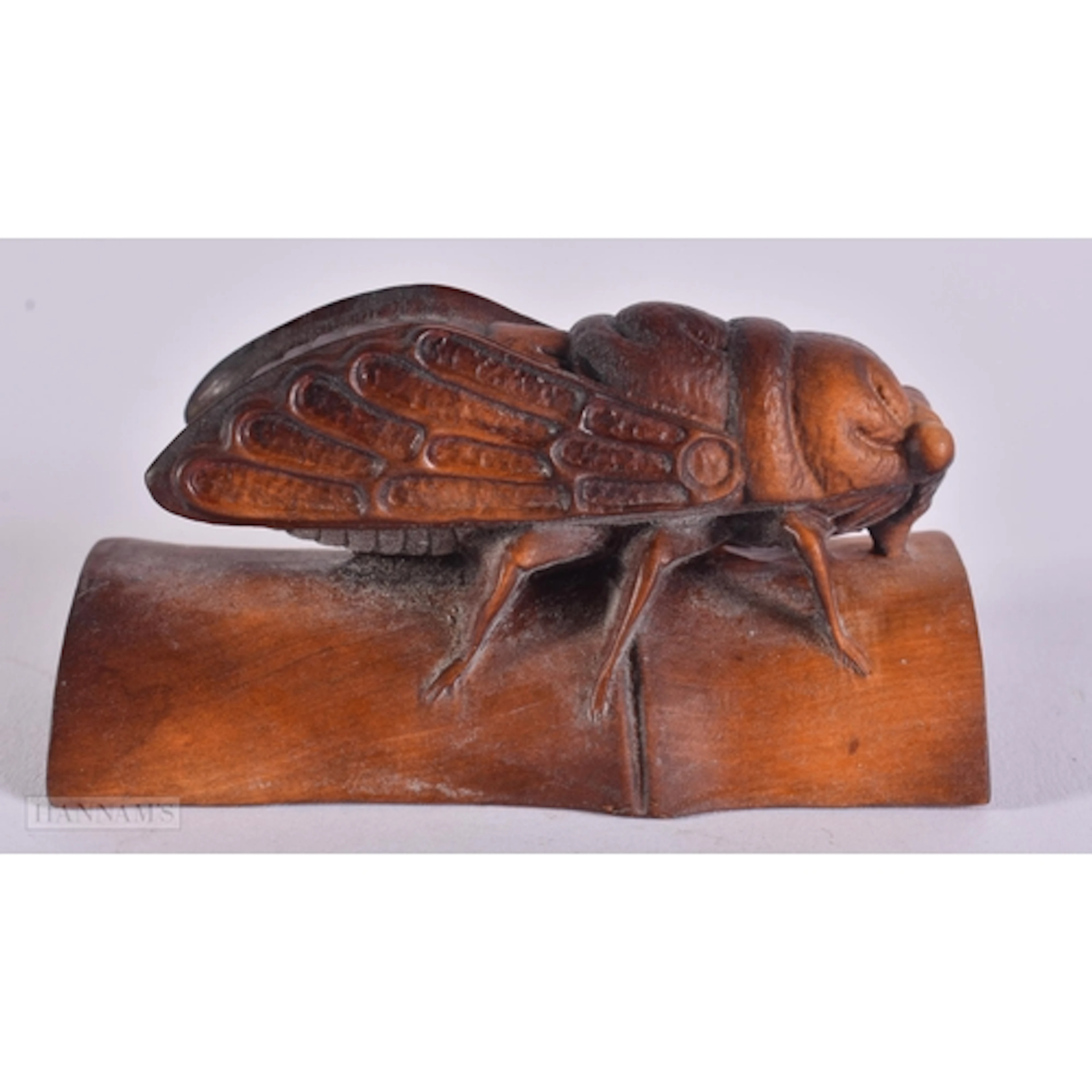 A CARVED WOOD CICADA. 8 x 4 x 4 cm.