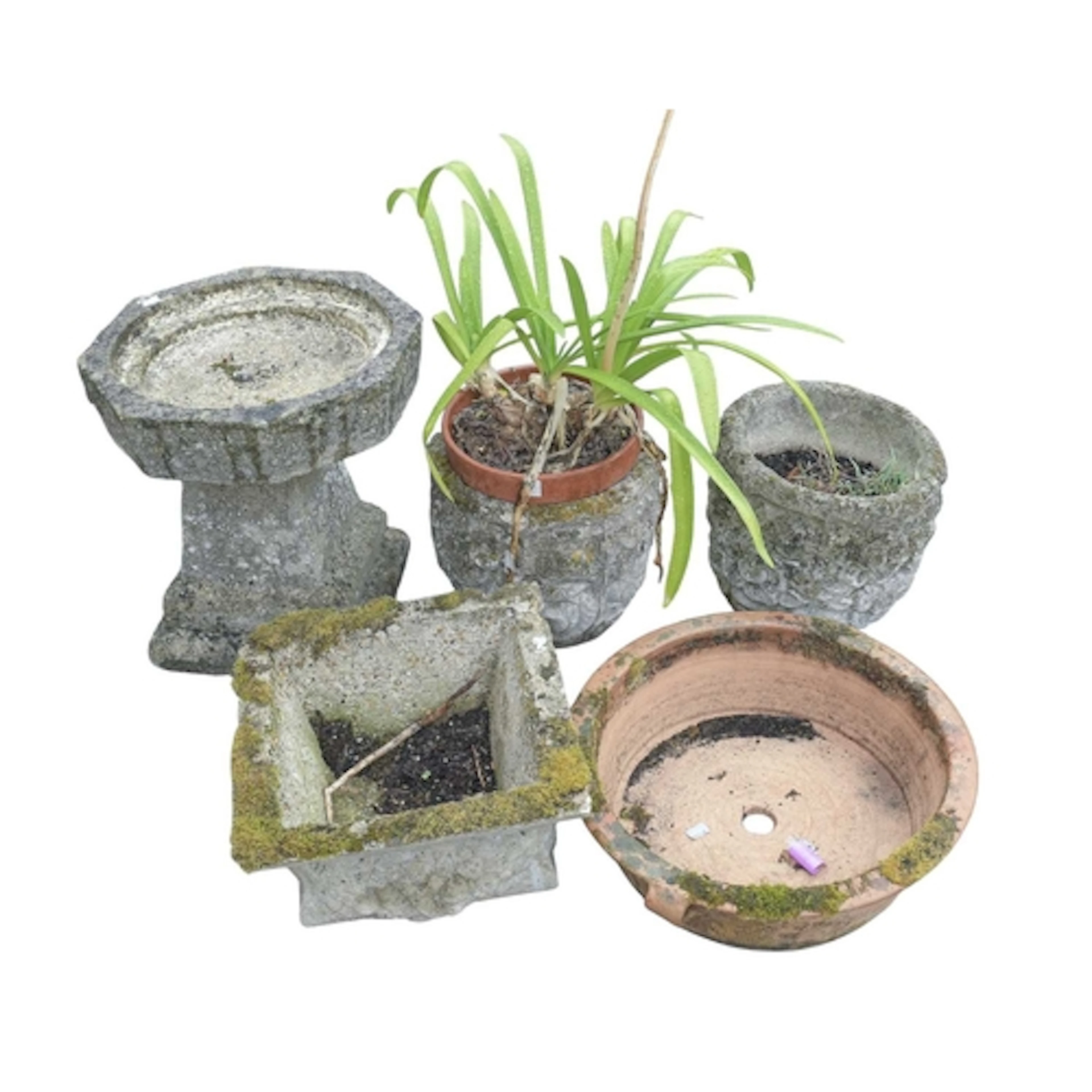 A reconstituted stone bird bath with hexagonal bowl. Height ...