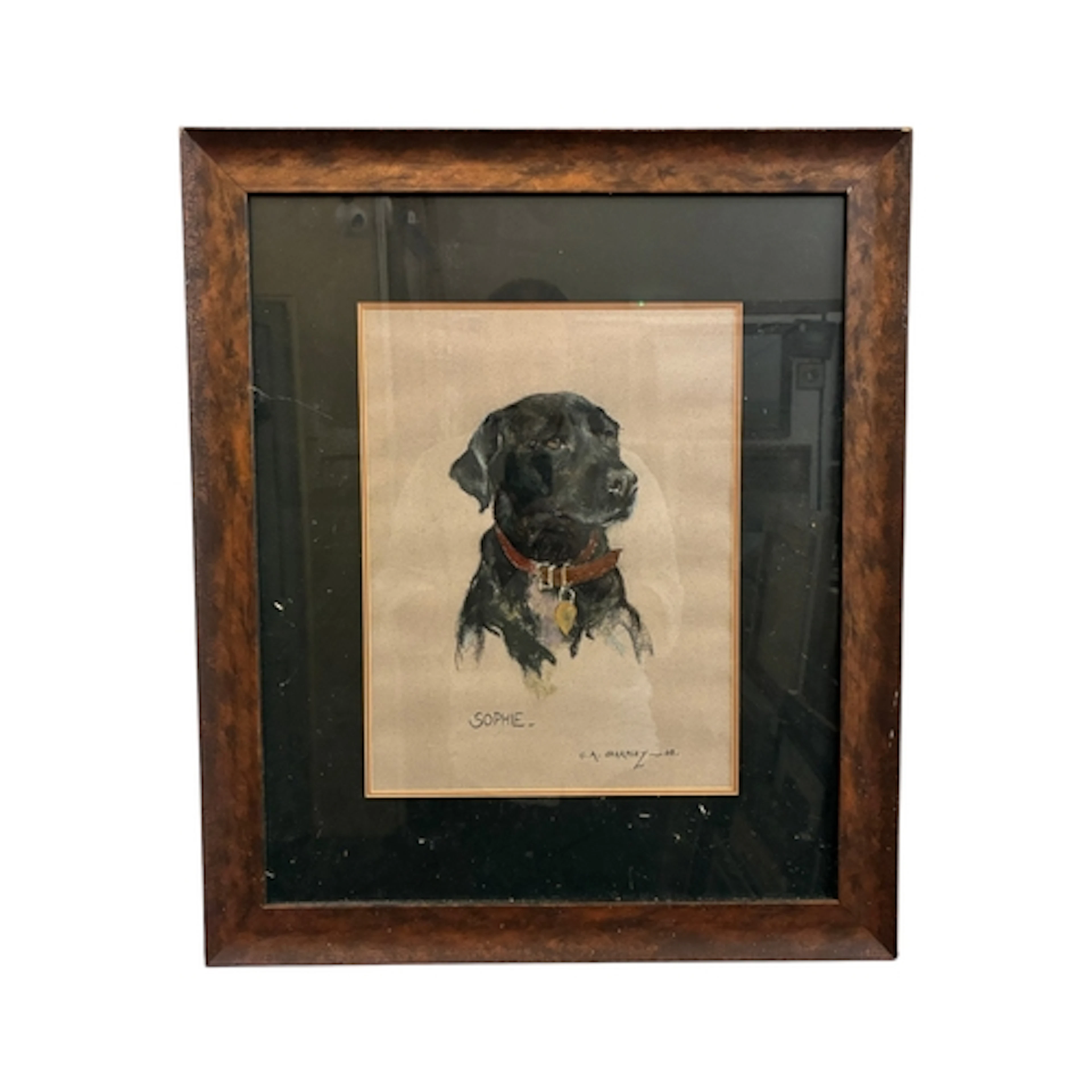 C.A. Sharpley (Contemporary) - Sophie (2001), pastel, mount:...