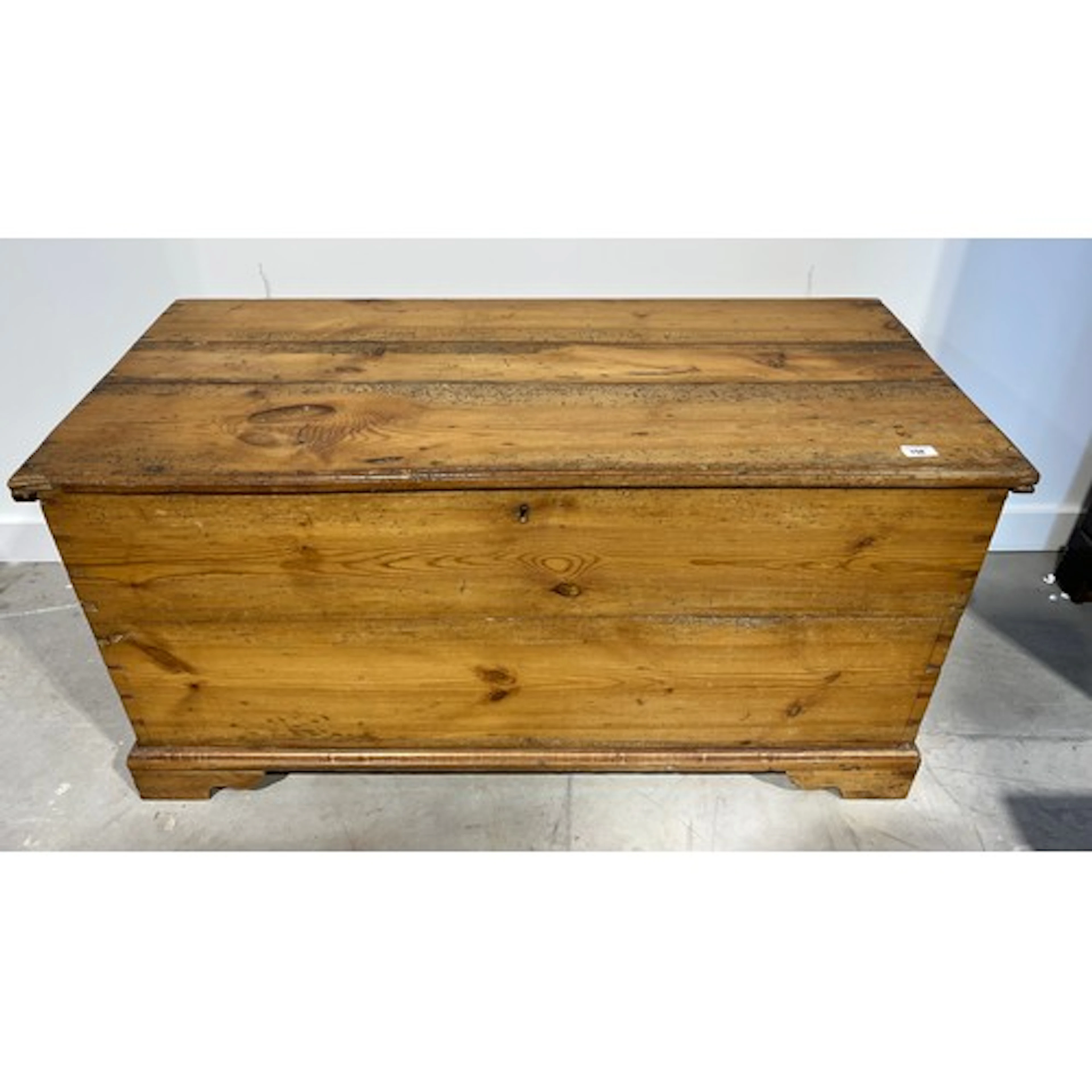 Pine trunk, 56cm x 116cm.