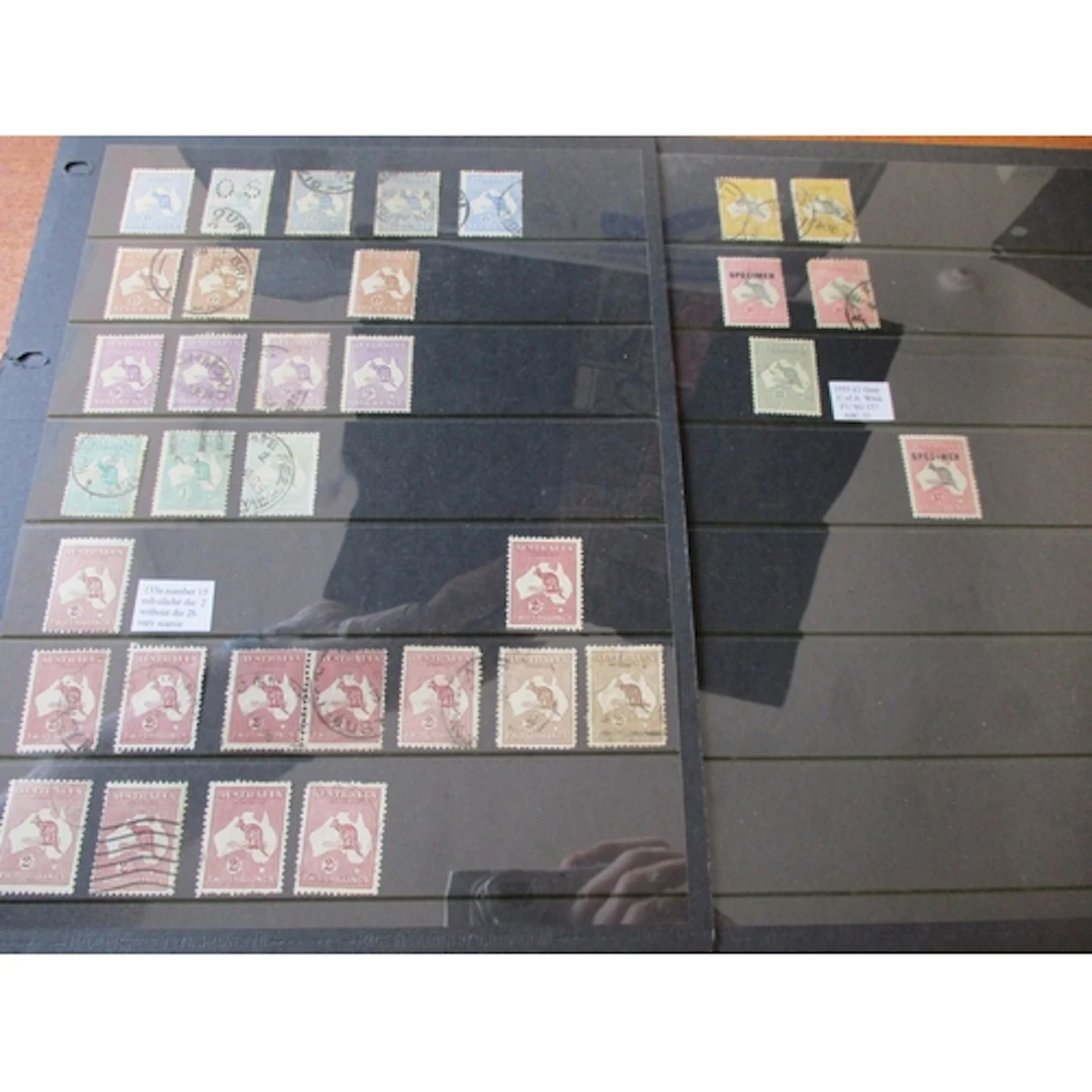 World Misc. M/U, coln in stock books and loose incl Australi...