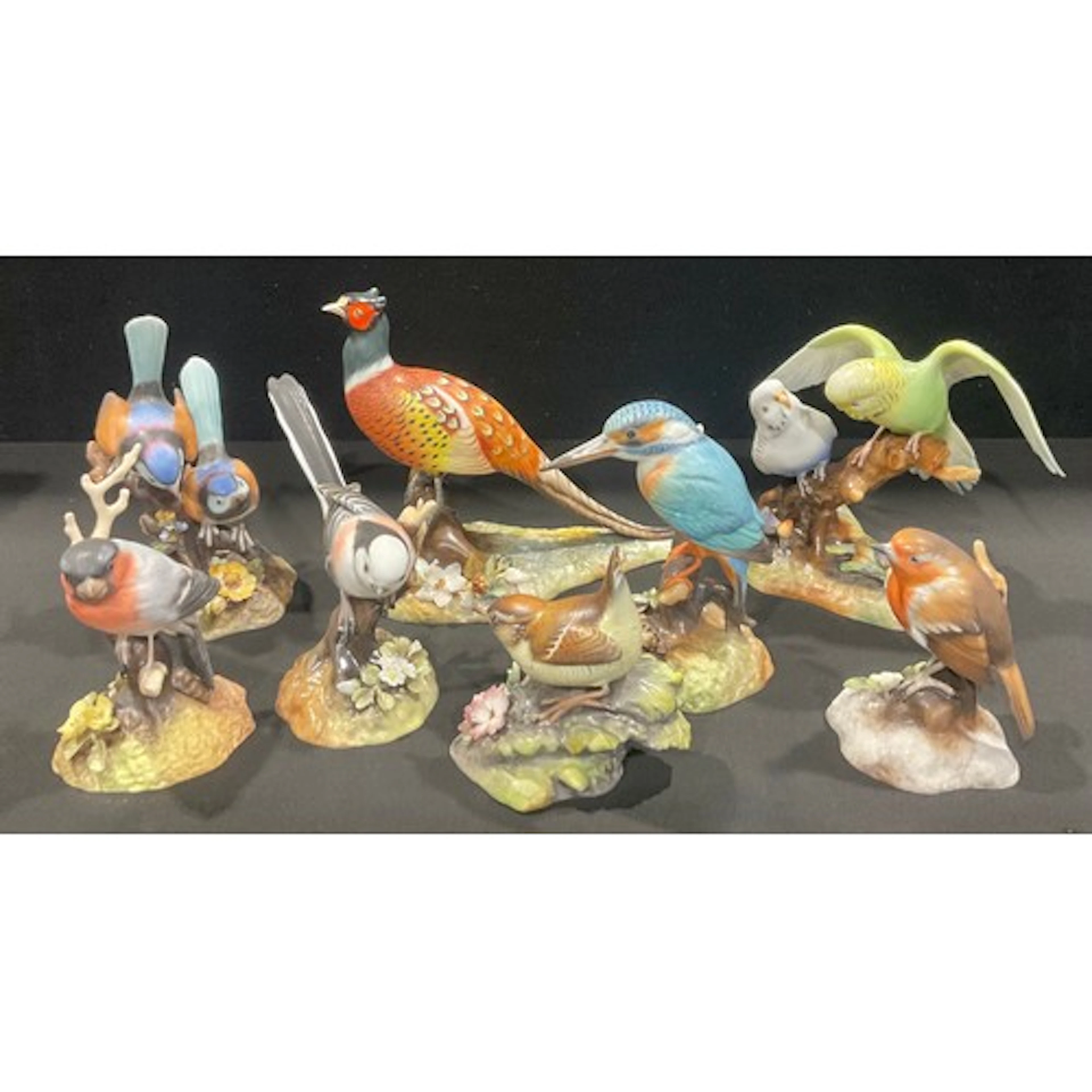 A Royal Crown Derby ornithological model, Budgerigars, paint...