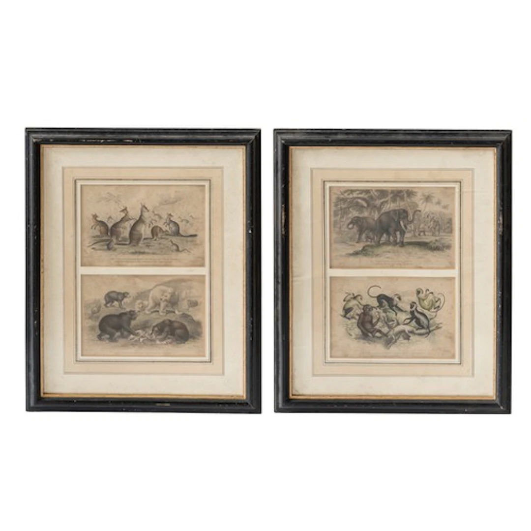 AFTER JAMES STEWART (British, 1791-1863) FOUR ZOOLOGICAL ENG...