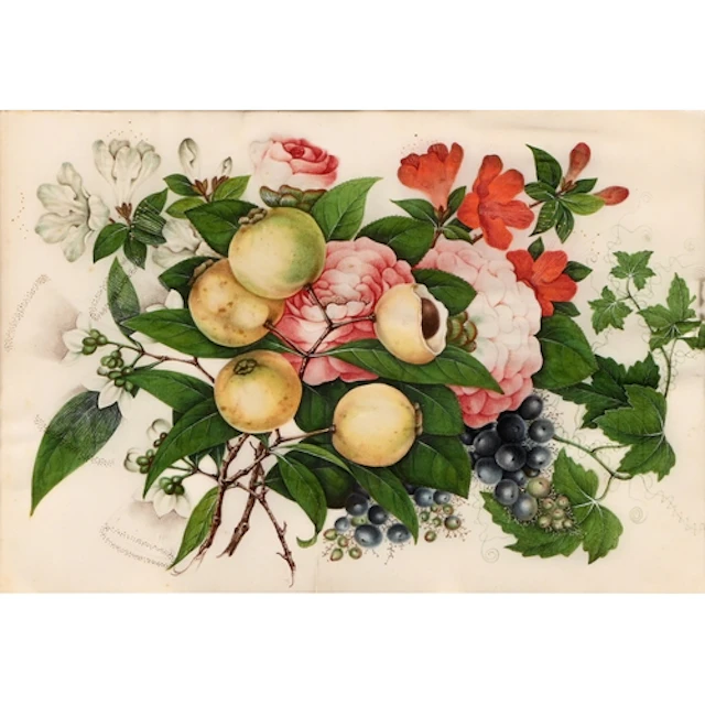 Chinese School, 19th century - Peonies and Fruit, rice pith ...