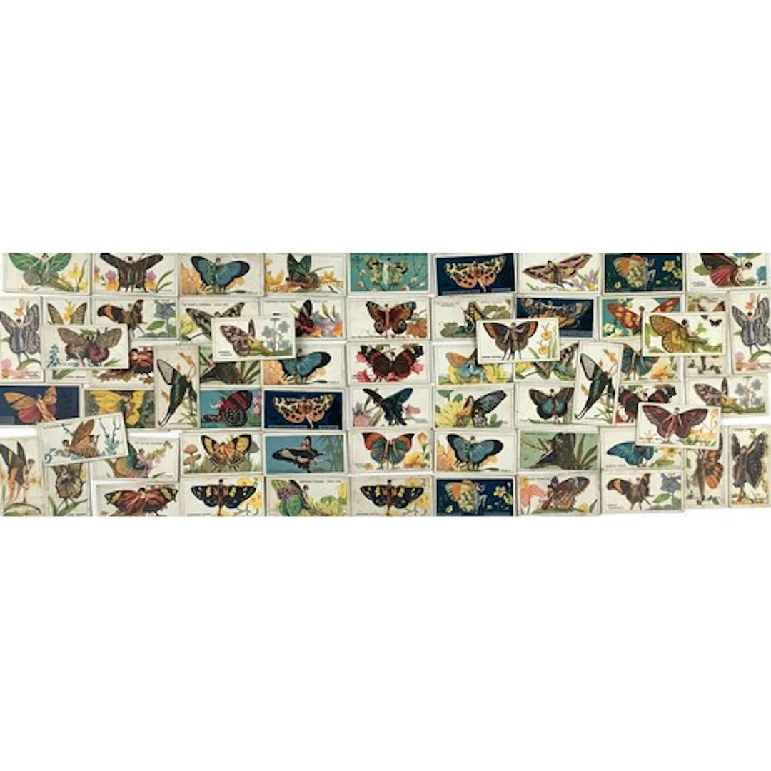 Various 1928 American B.A.T. Cigarette cards, Butterflies (g...