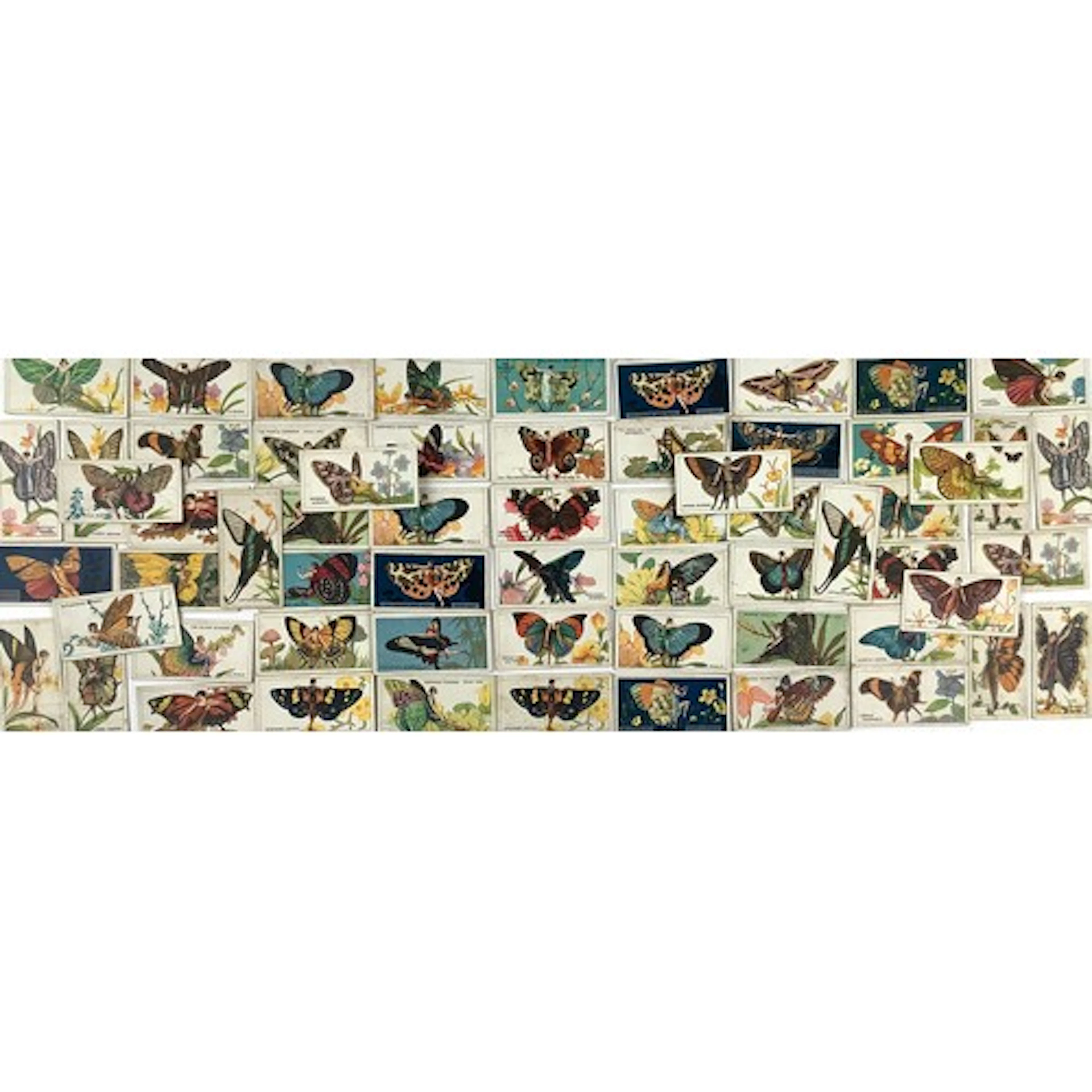 Various 1928 American B.A.T. Cigarette cards, Butterflies (g...