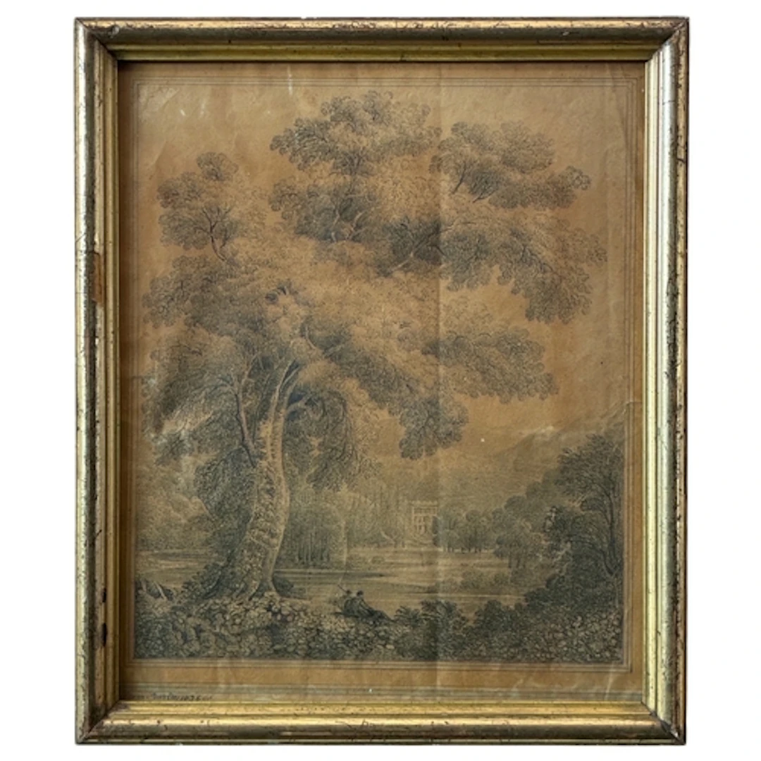 William Fleetwood Varley (1785-1858) - An Ash Tree (1826), p...