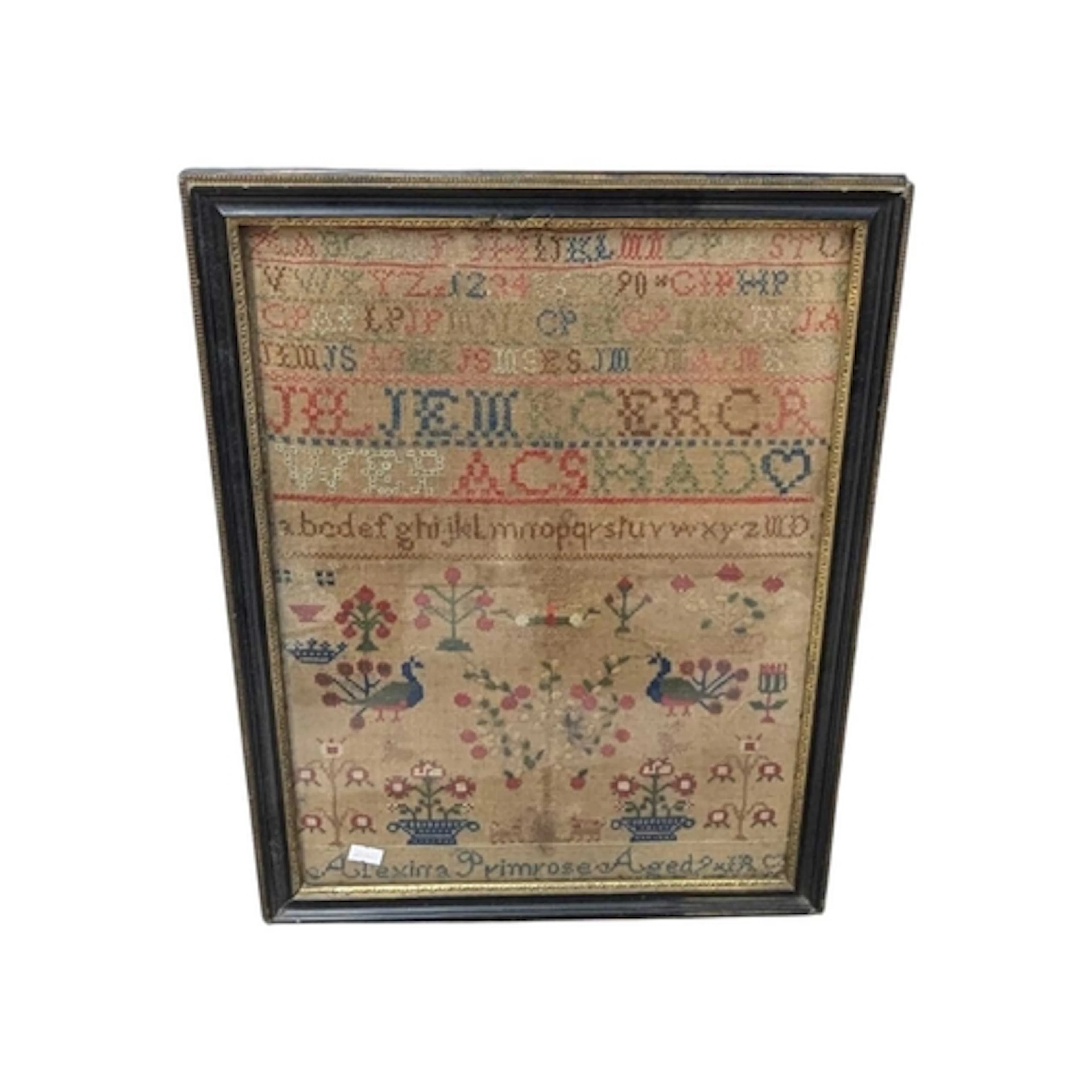 19th century Victorian needlepoint sampler. Alexina Primrose...