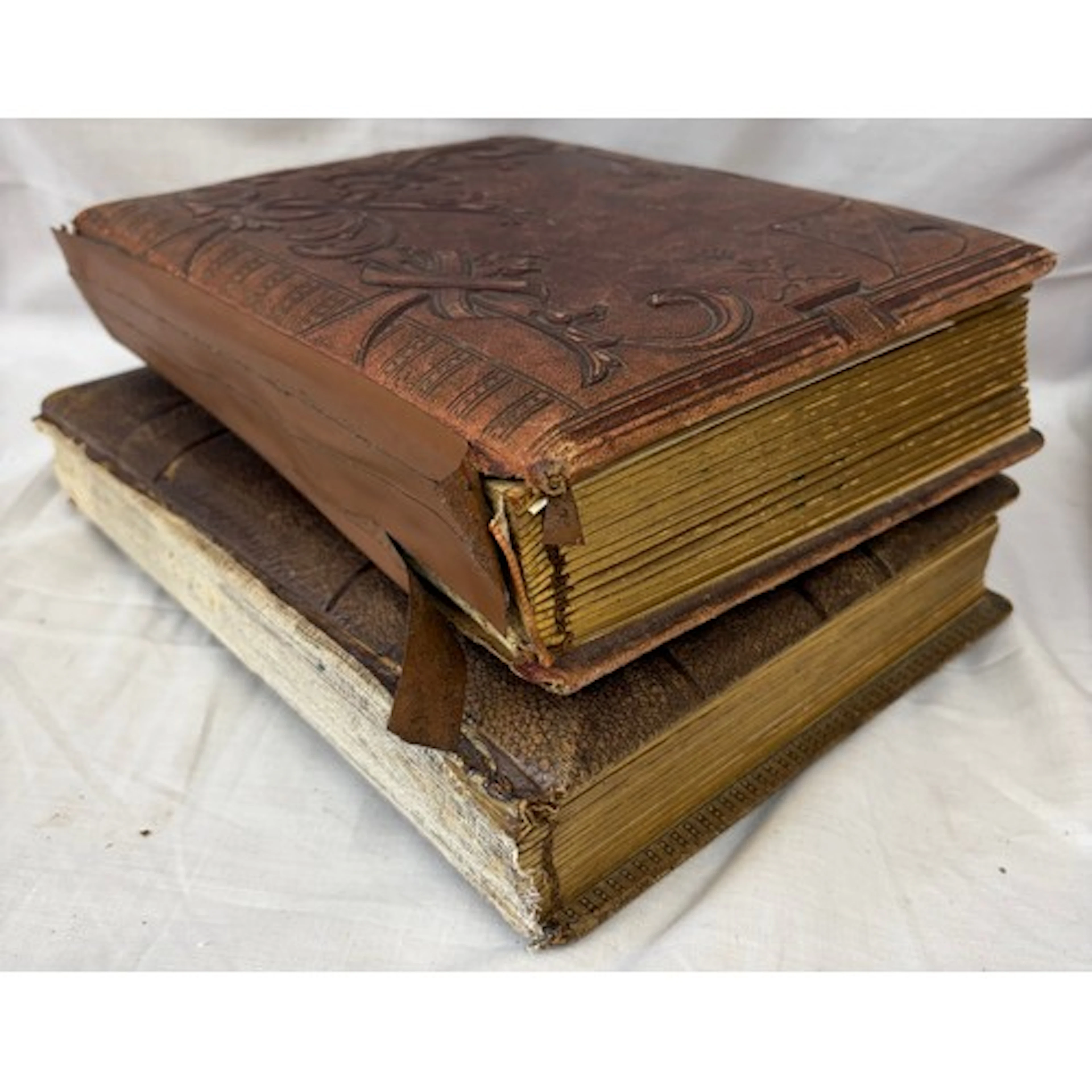 Two leather bound albums of Edwardian/Victorian cabinet phot...