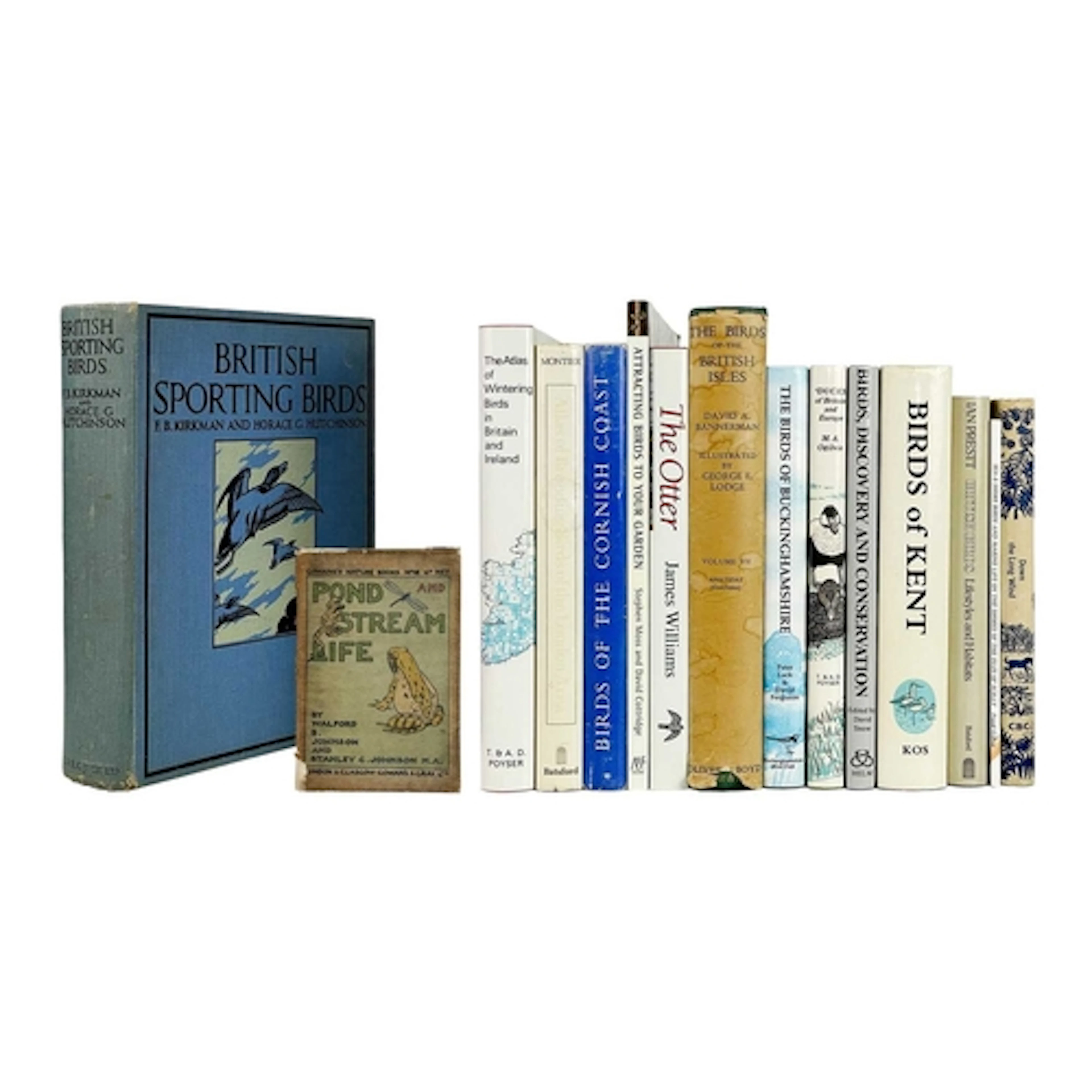(Ornithology) British Birds Fifteen works Includes F. B. Kir...