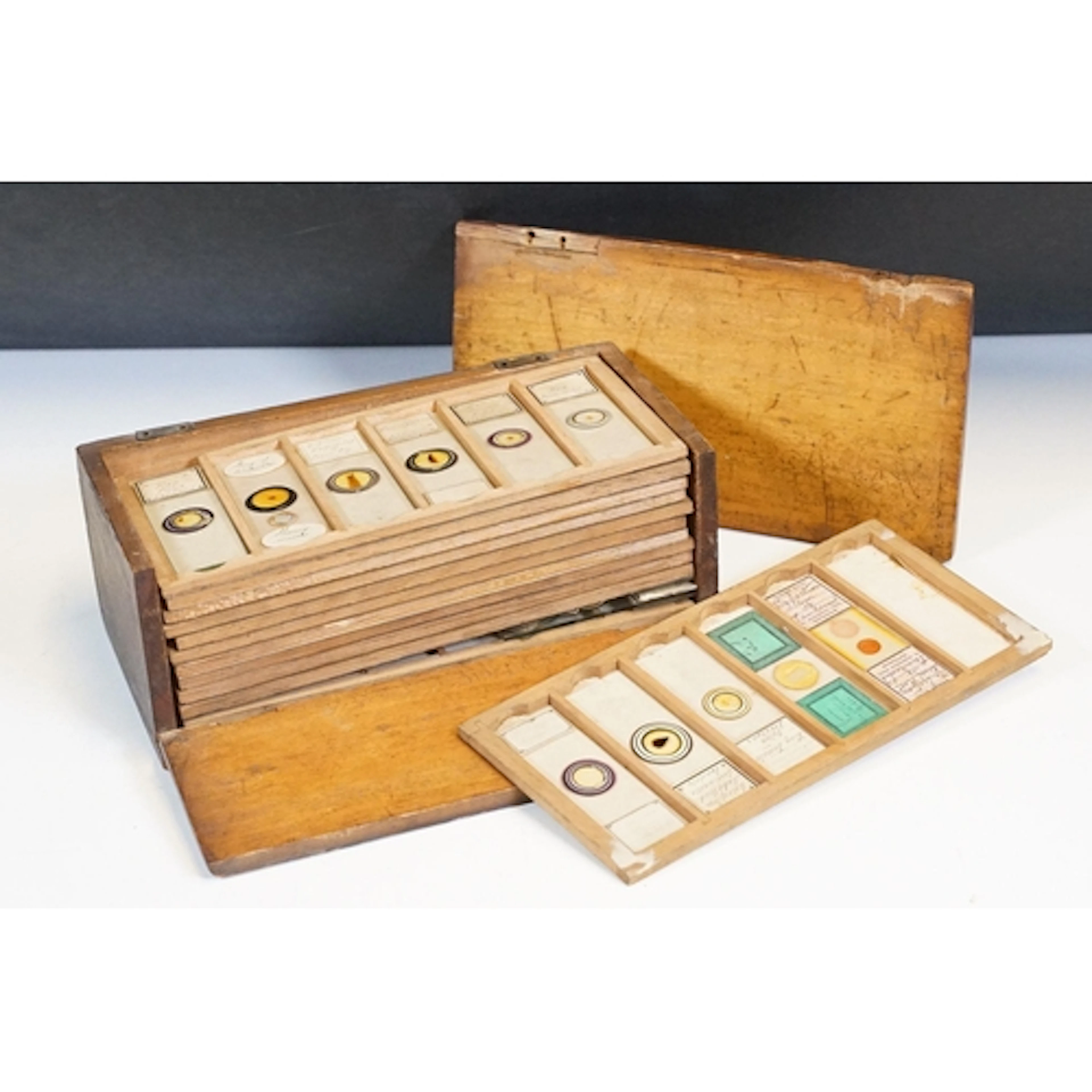 A small Late 19th Century box with 12 drawers containing 71 ...