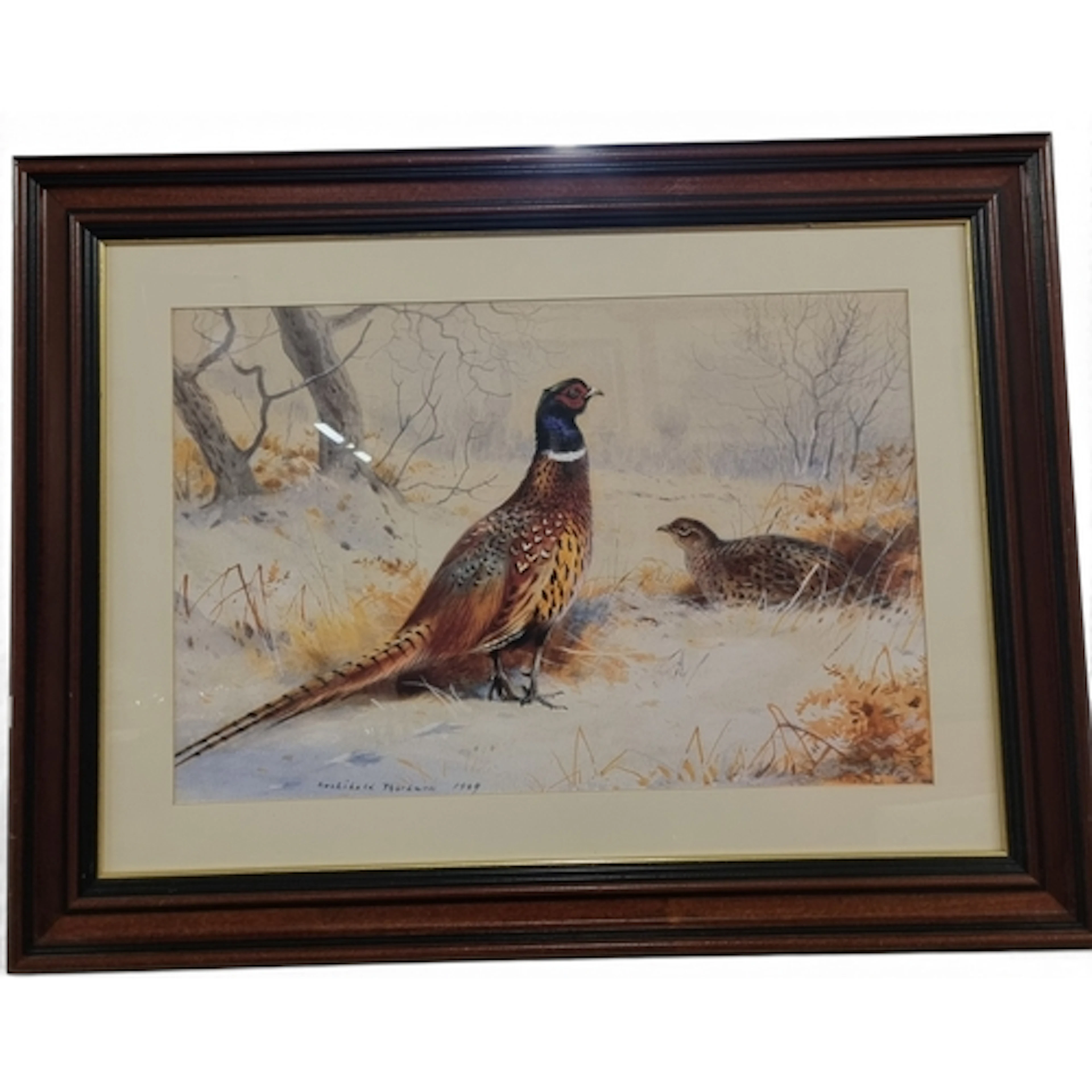 After Archibald Thorburn. A coloured print of Pheasants in a...