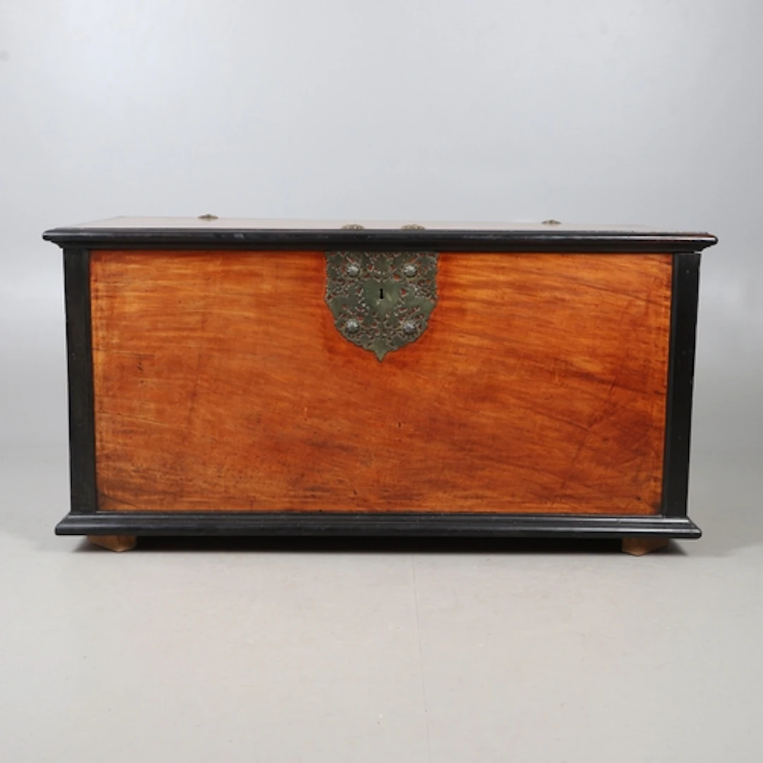A DUTCH EAST INDIES HARDWOOD AND EBONISED CHEST. 19th centur...