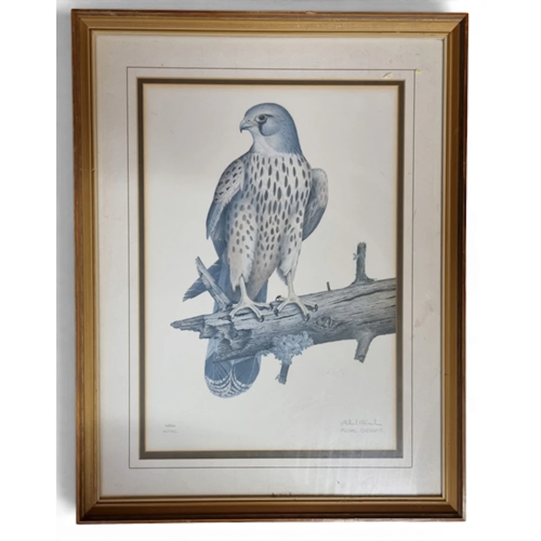 After Michael M Oxham. Four coloured Prints of Birds. H 50 c...