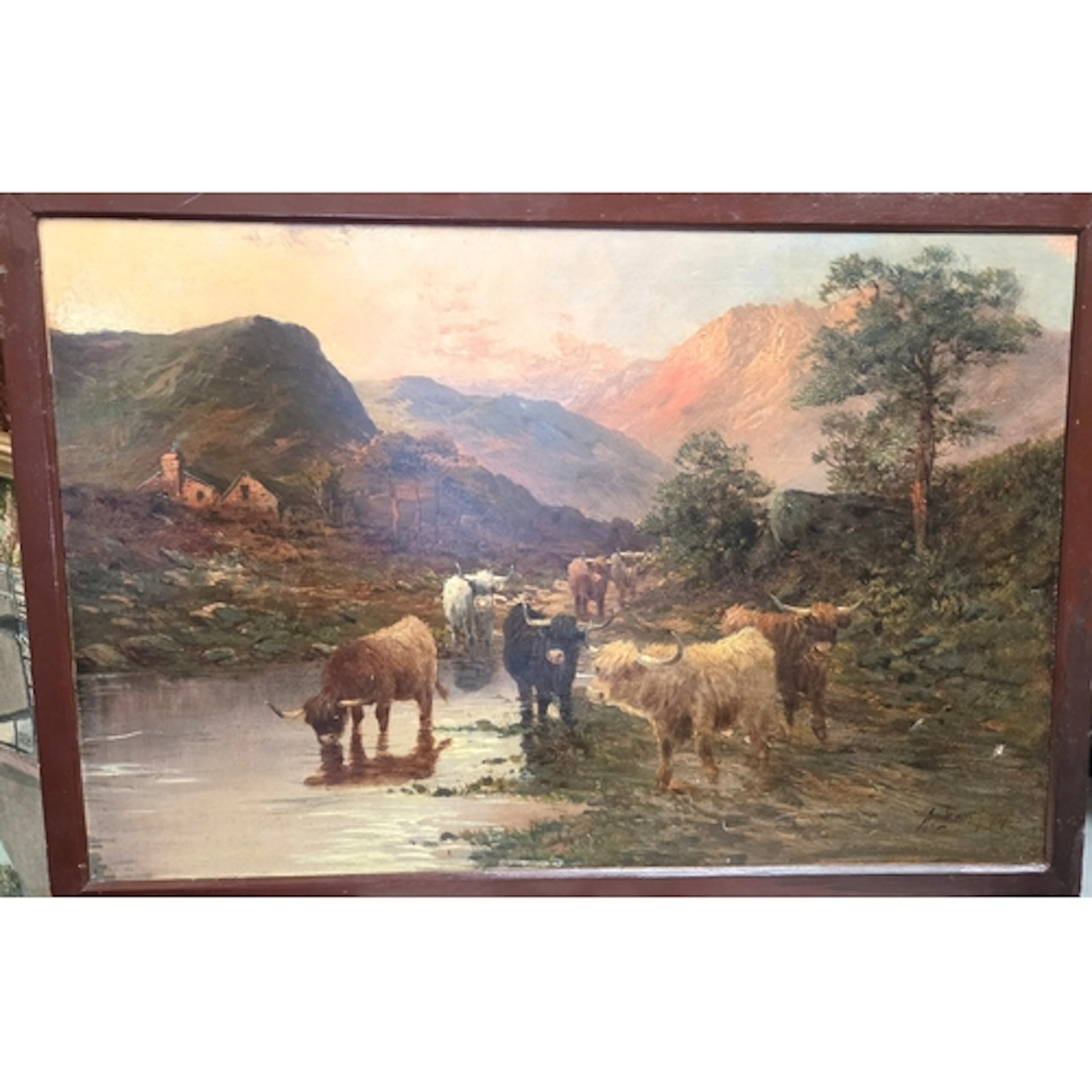 A Lewis, Highland cattle oil on canvas, signed and dated and...