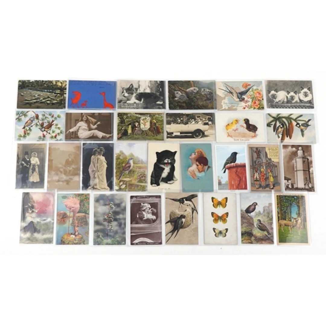 Collection of early 20th century postcards including topogra...