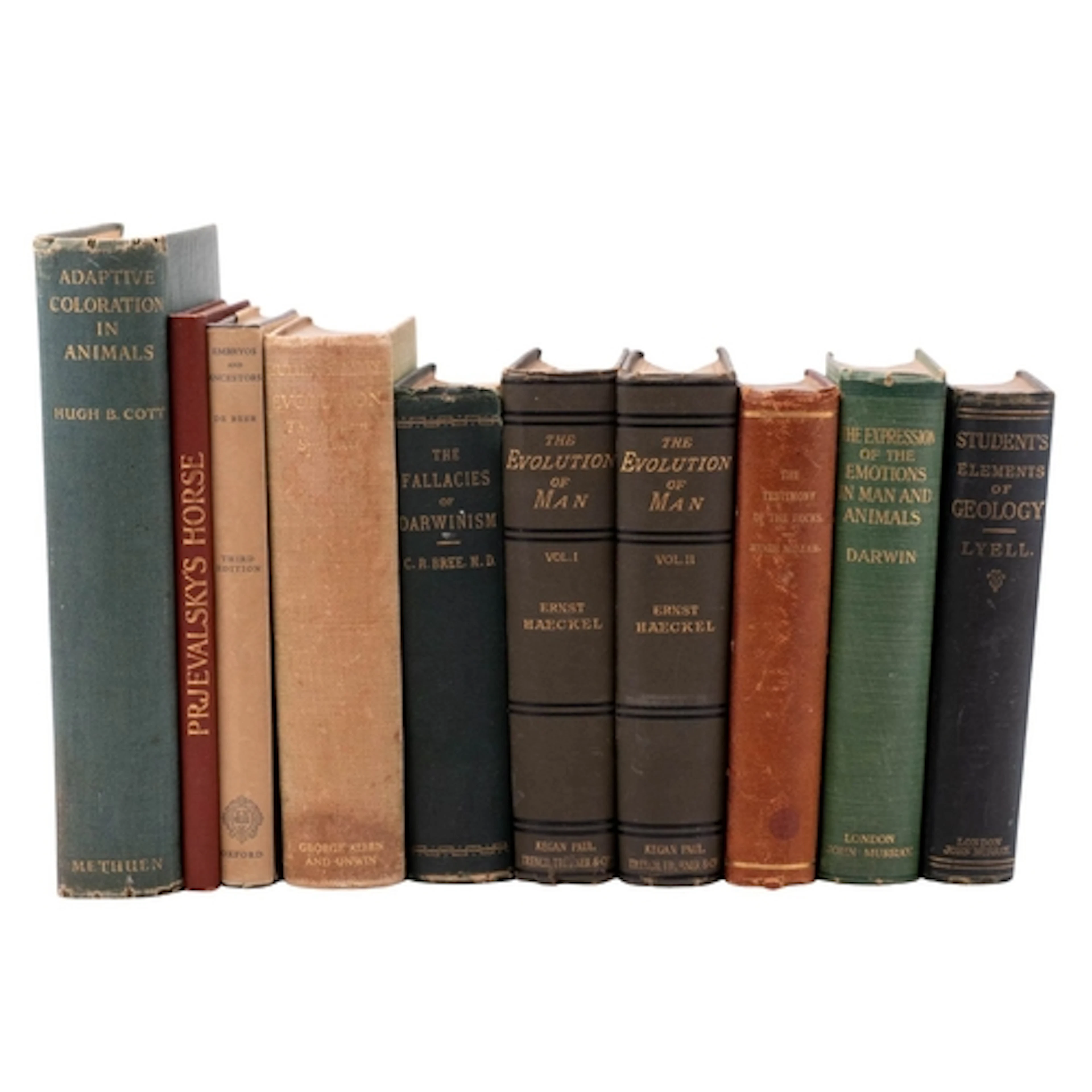 NATURAL HISTORY, EVOLUTION. MILLER, Hugh. The Testimony of t...