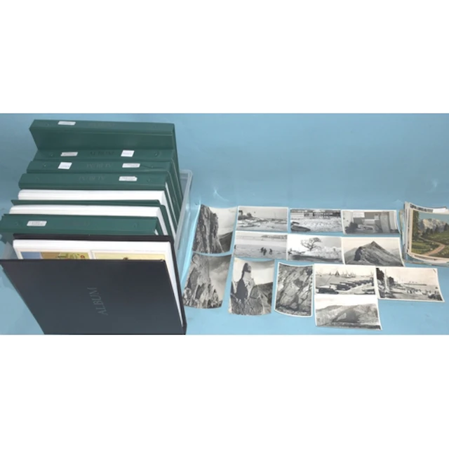 Approximately 100 loose postcards, including many RPs of Cow...