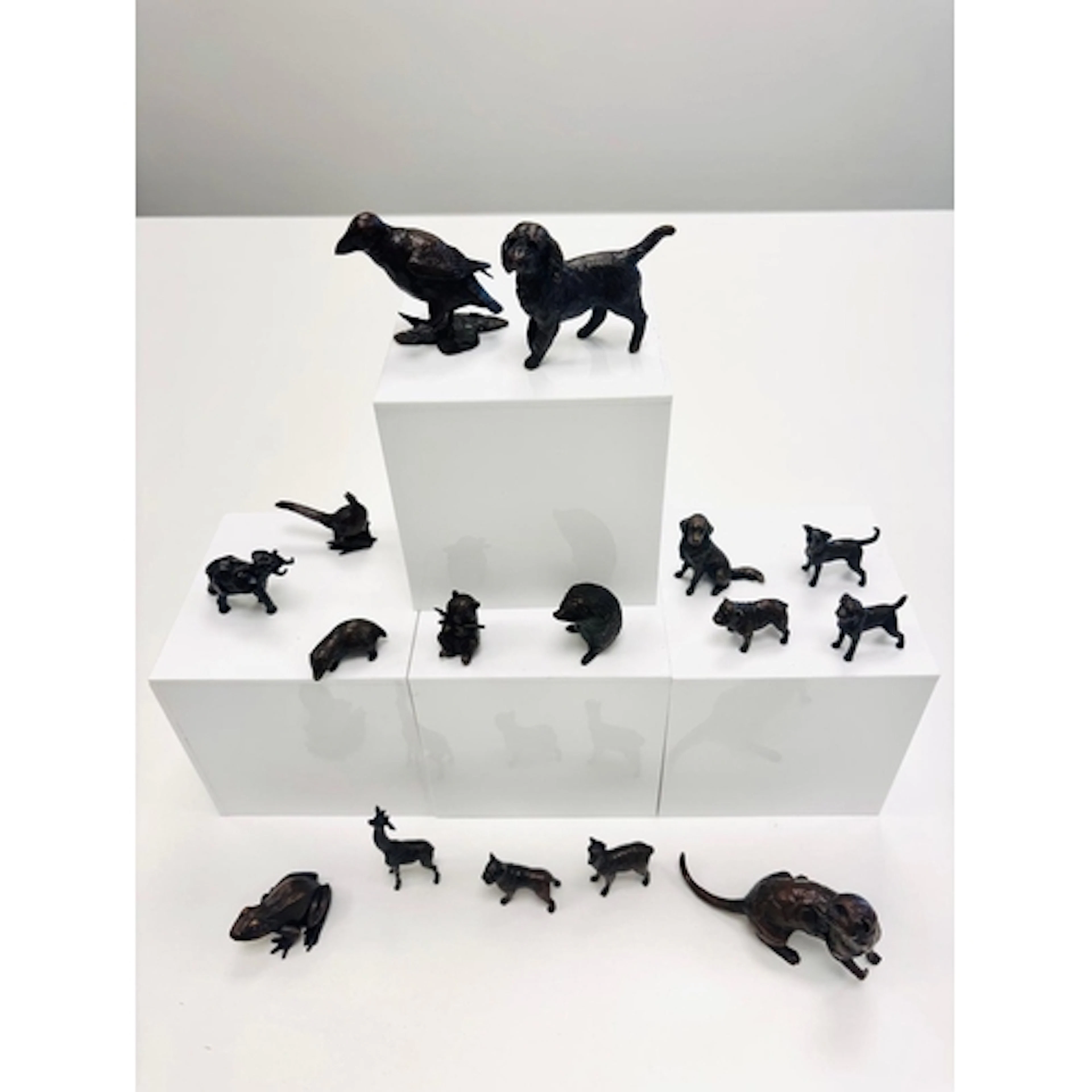 Bronze sculptures. A collection of sixteen solid bronze anim...