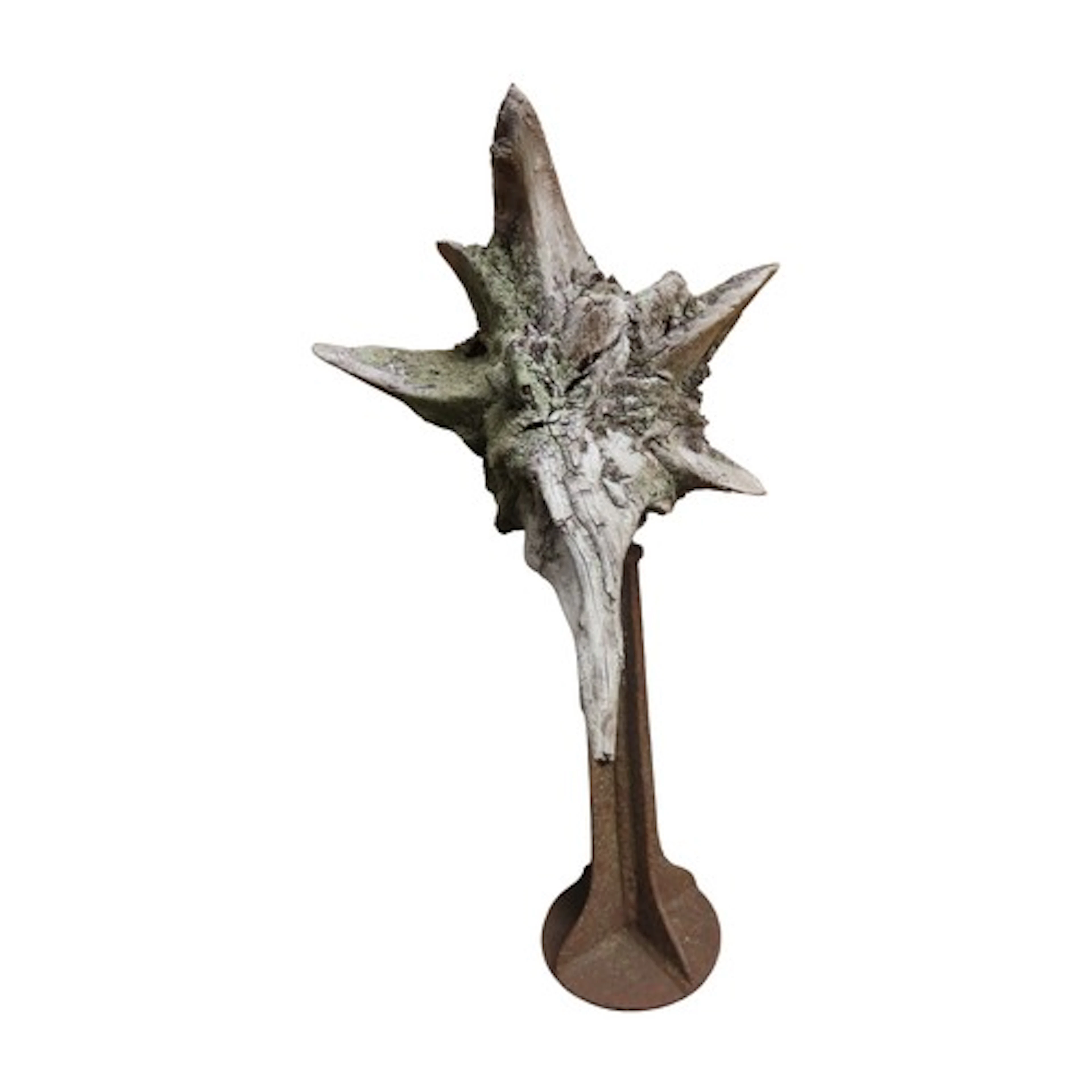 A weathered sculptural root mounted on a cast iron pedestal,...