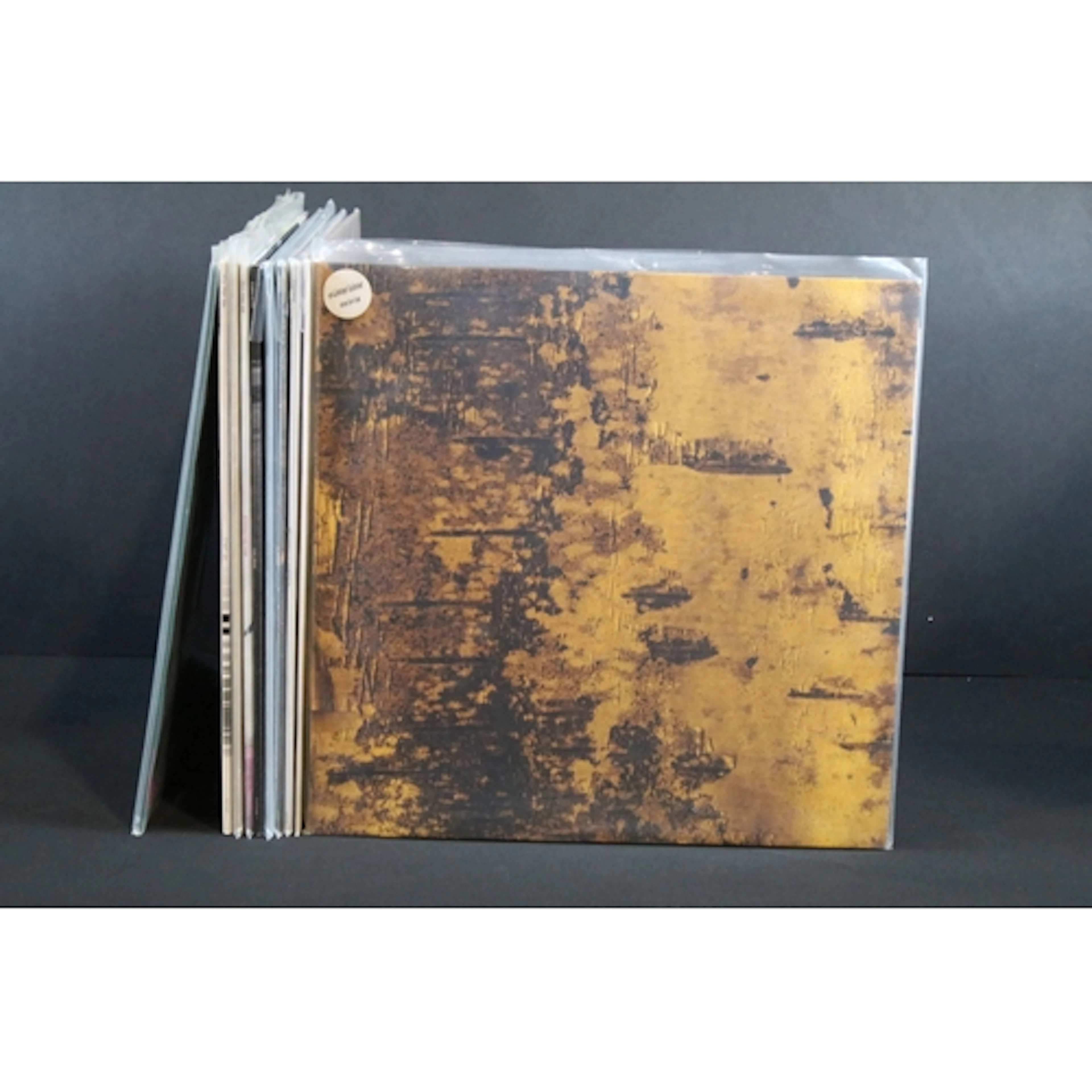 Vinyl - Post Rock - 6 Esmerine LP’s and 3 Fly Pan Am LP’s an...