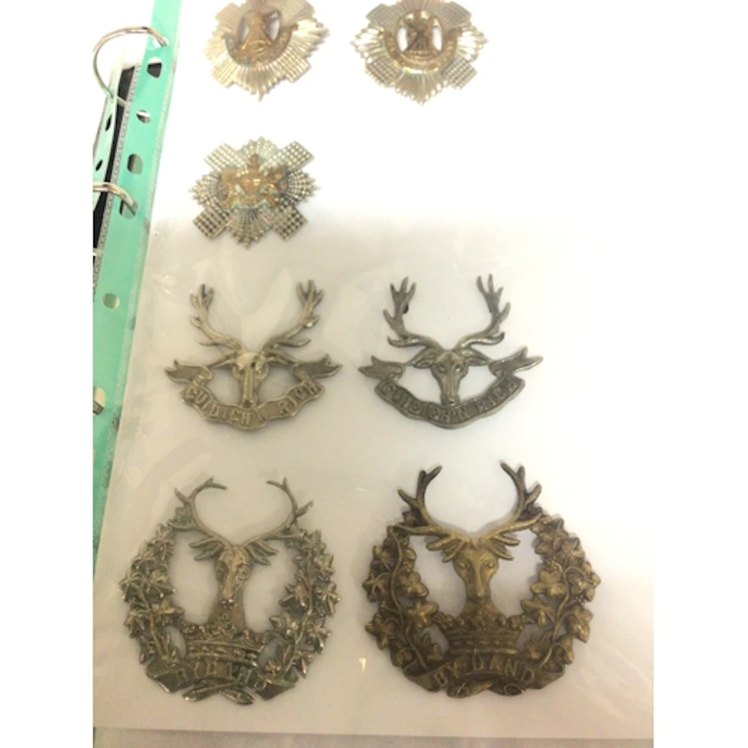 An album containing British Regimental cap badges Gord...